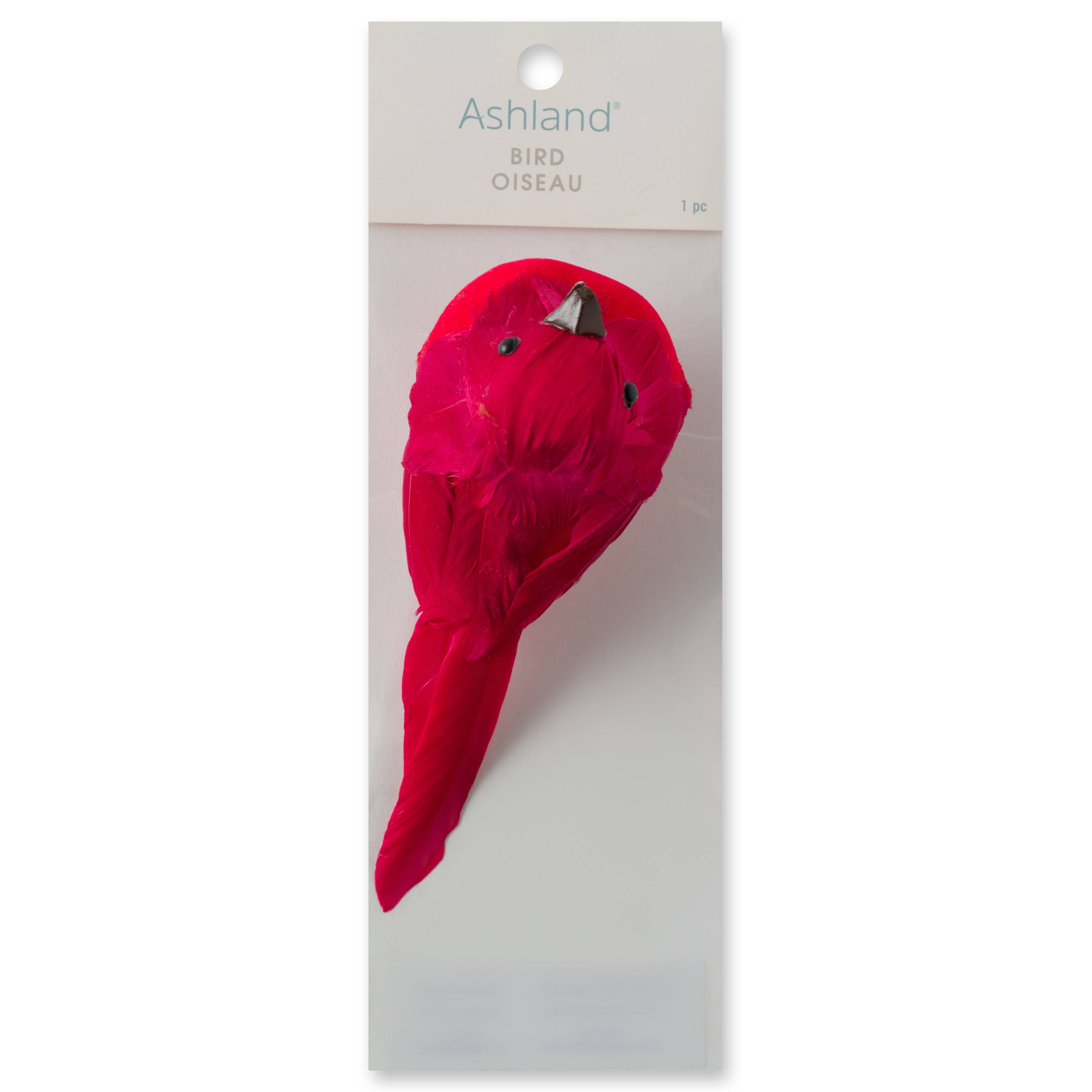 24 Pack: Medium Cardinal Bird by Ashland&#xAE;