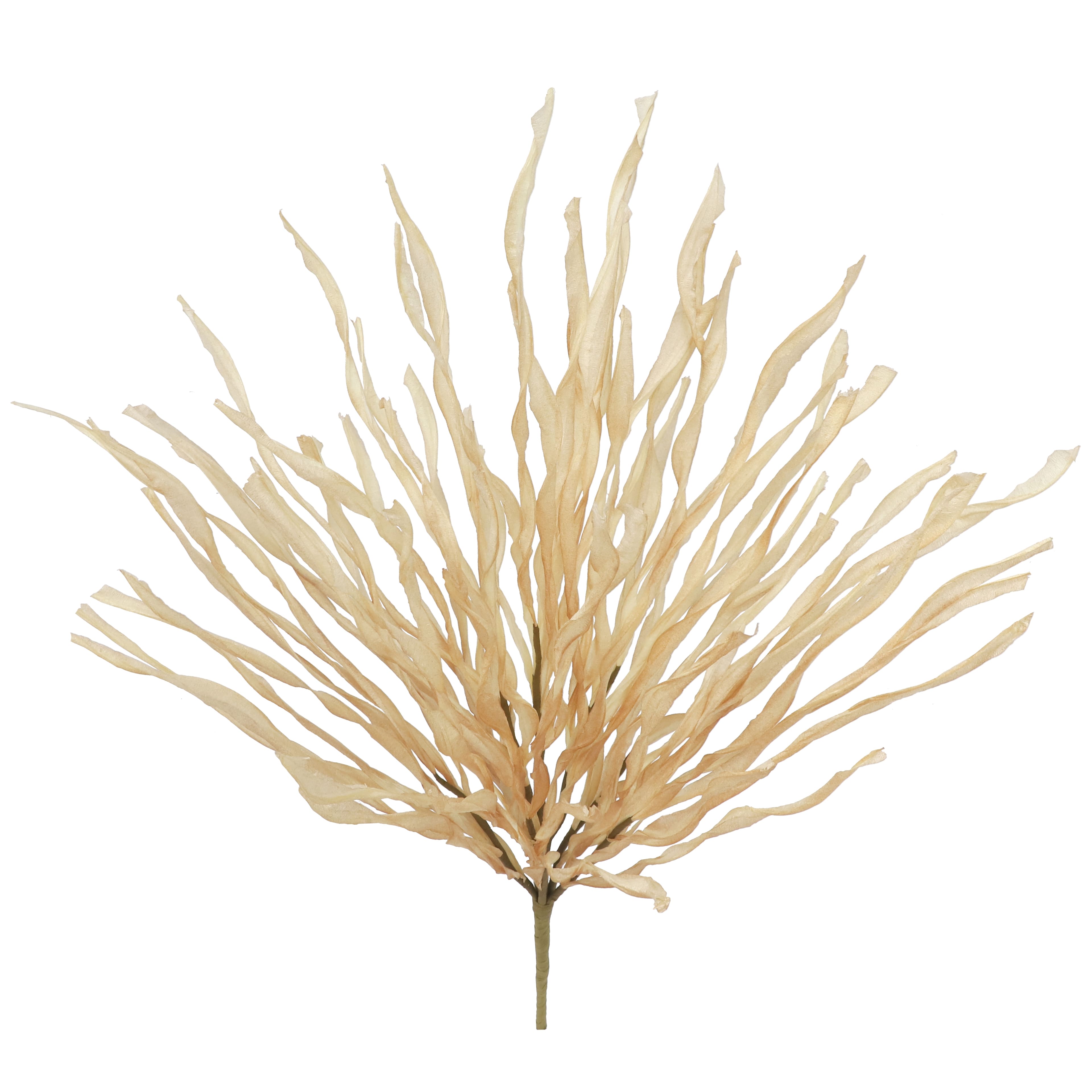 24.5&#x22; Grass Bush by Ashland&#xAE;