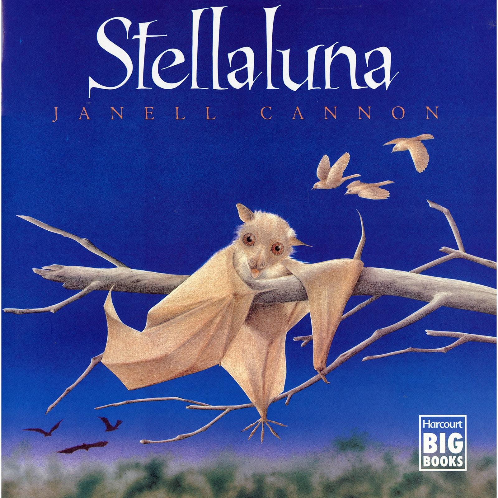 Houghton Mifflin Harcourt Stellaluna Big Book