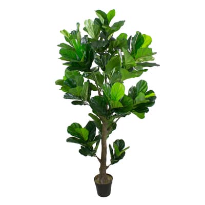 6ft. Dark Green Potted Fiddle Leaf Fig Tree | Michaels