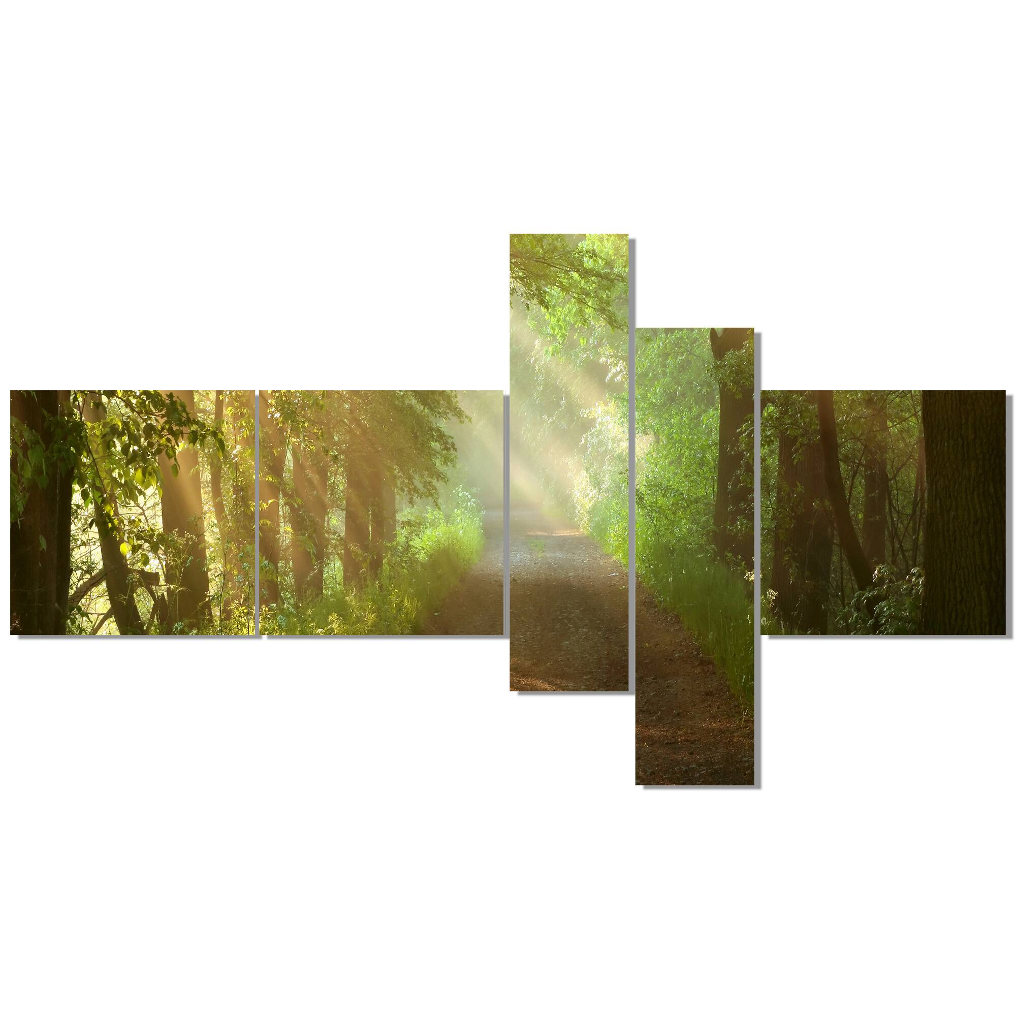 Designart - Suns Peeks into Forest - Landscape Photography Canvas Print