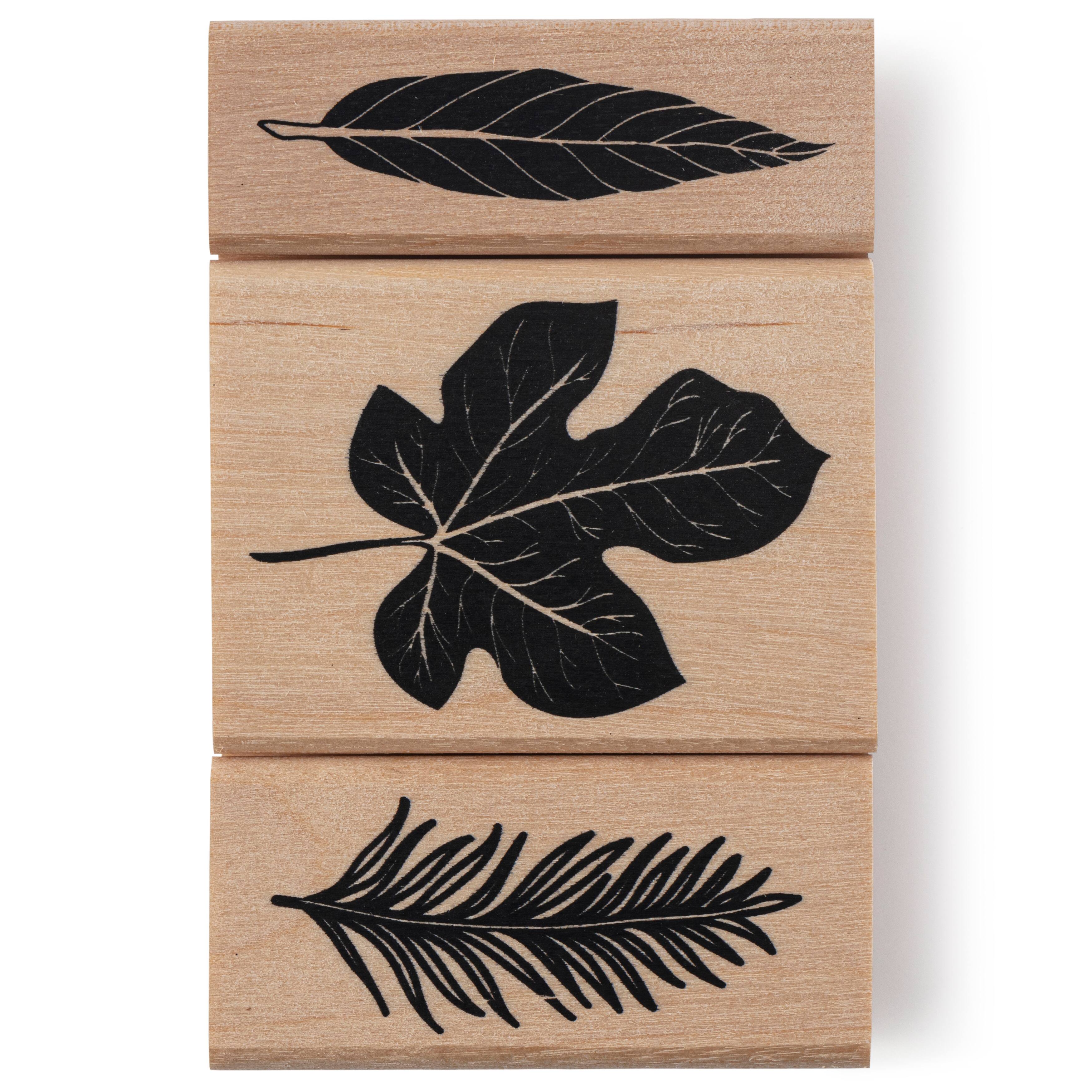 6 Pack: Leaf Stamp Set by Recollections™