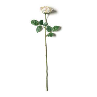 Princess Rose by Ashland® image