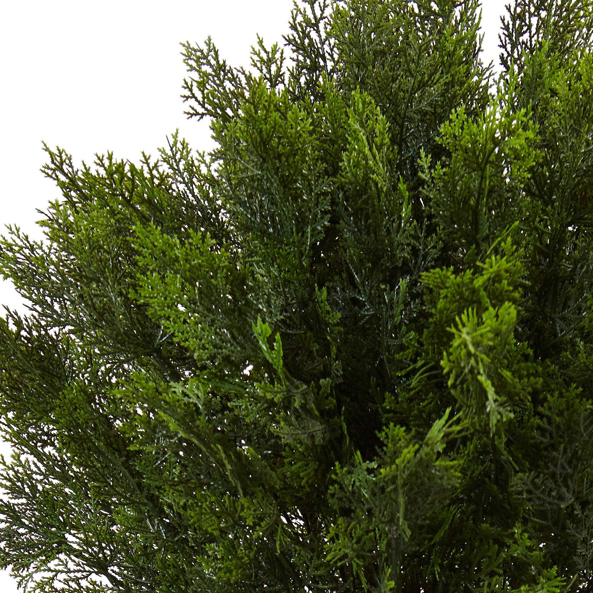 4ft. Cedar in Cylinder Planter