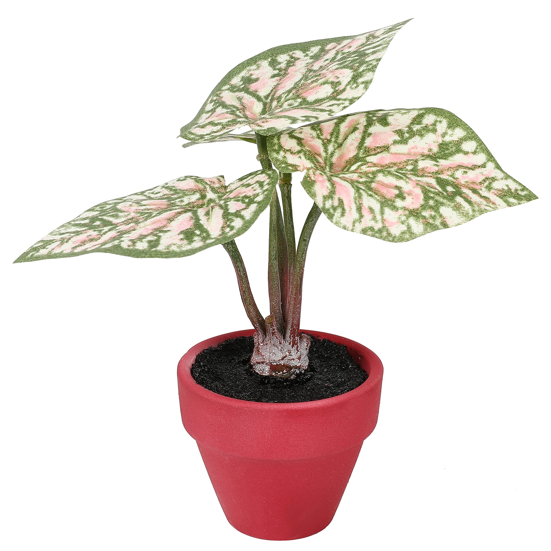4.5&#x22; Potted Green &#x26; Pink Taro Leaves Plant by Ashland&#xAE;