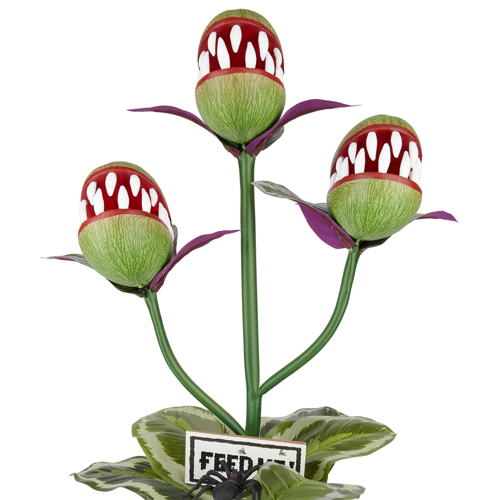 24&#x22; Venus Flytrap Trio in Rustic Black Pot by Ashland&#xAE;