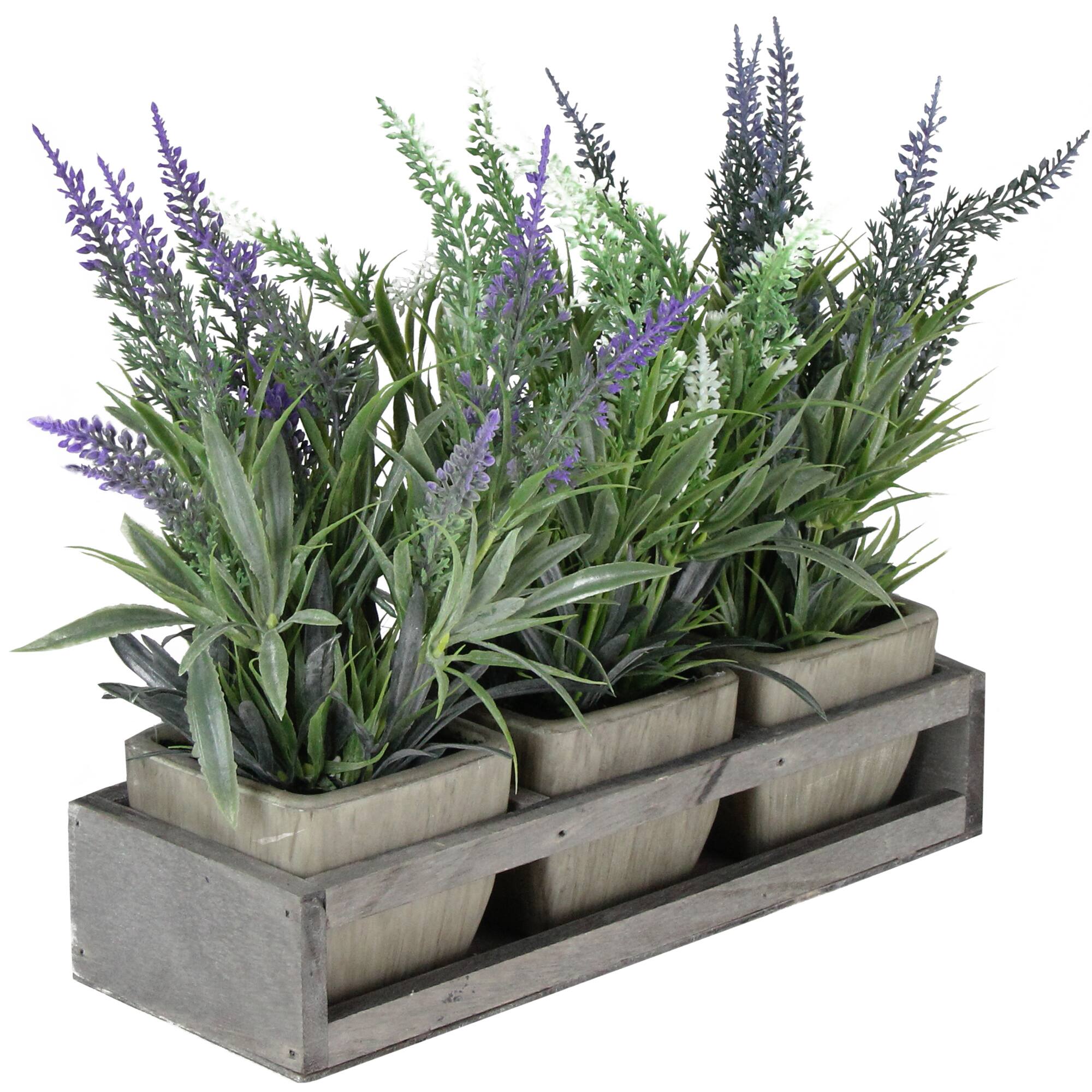 10.25" Lavender in Petite Planter with Distressed Wood Tray