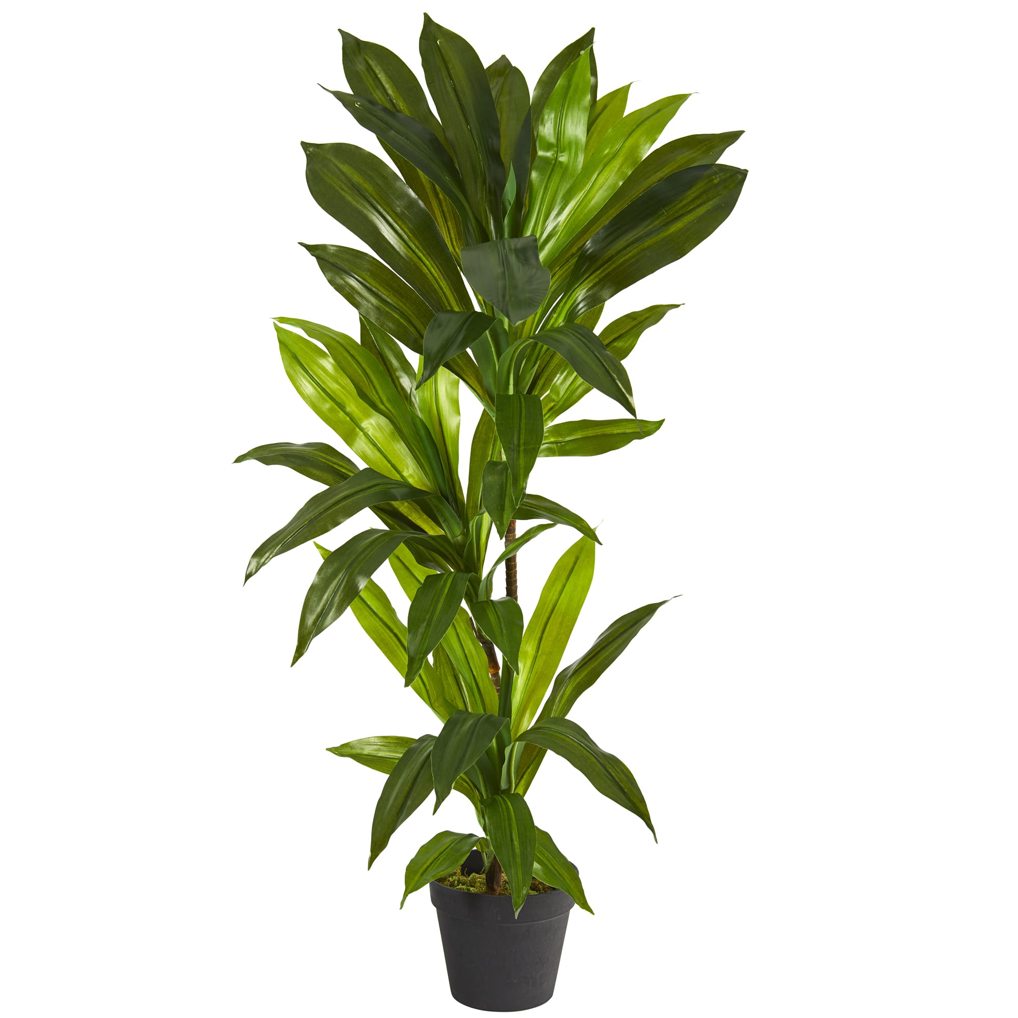 3ft. Dracaena Artificial Plant (Real Touch) | Michaels