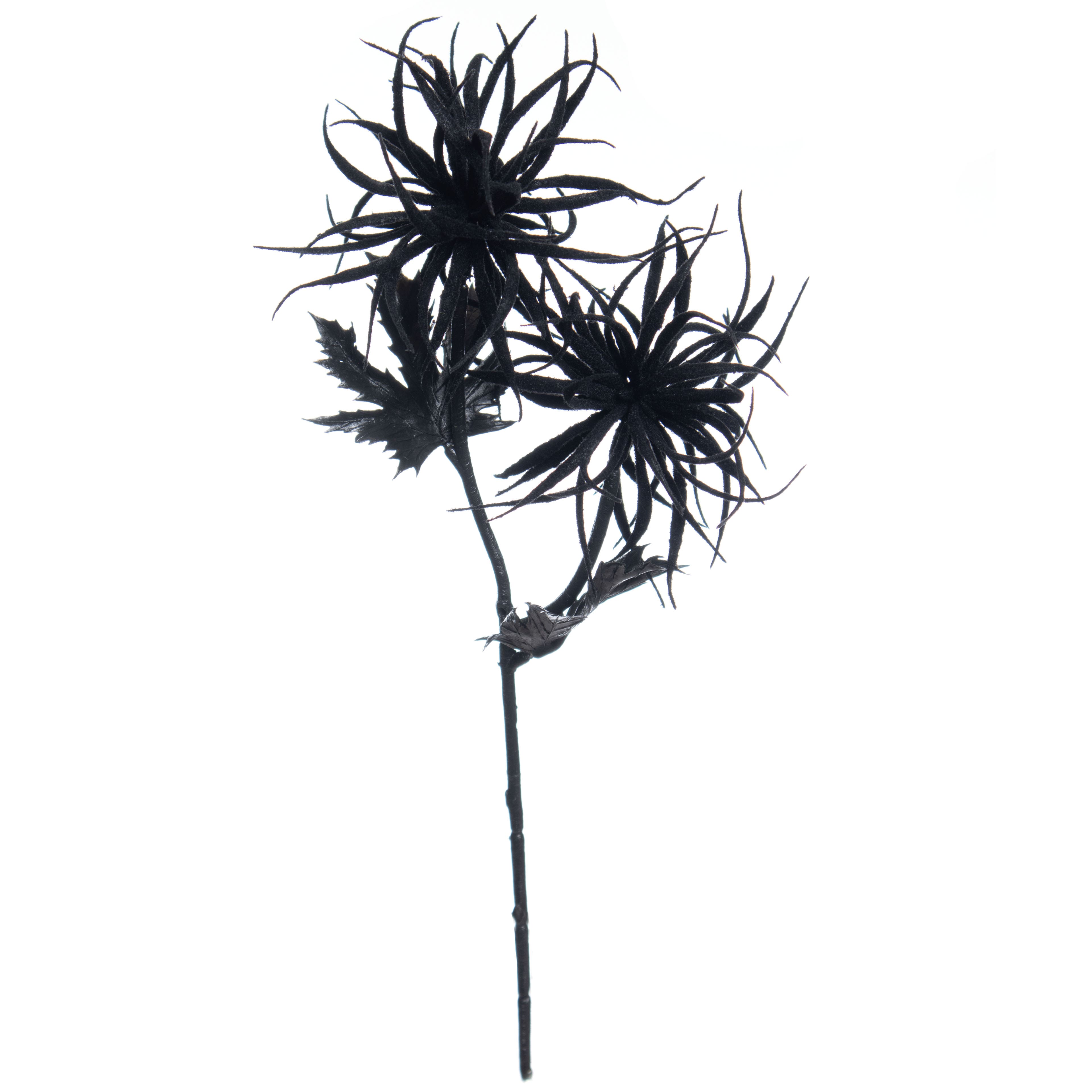 12&#x22; Air Plant Pick by Ashland&#xAE;
