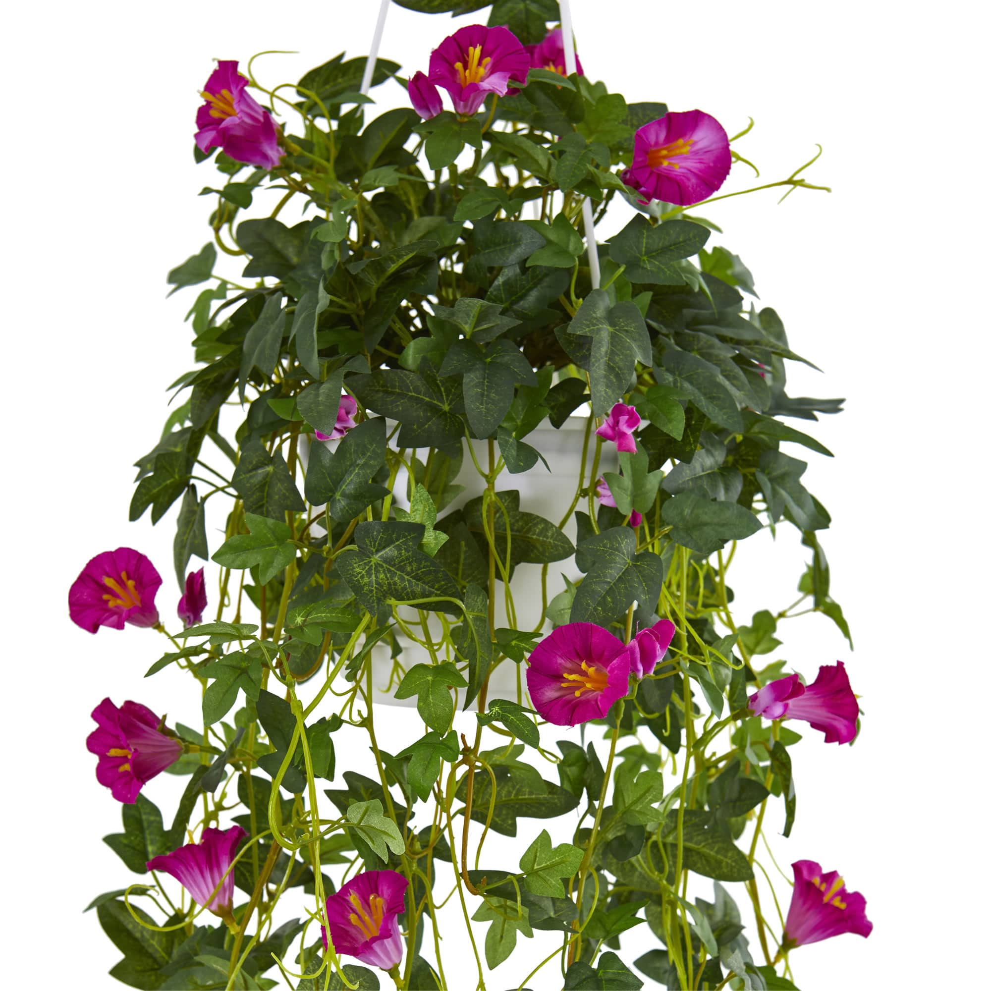 2.5ft. Purple Petunia Hanging Basket