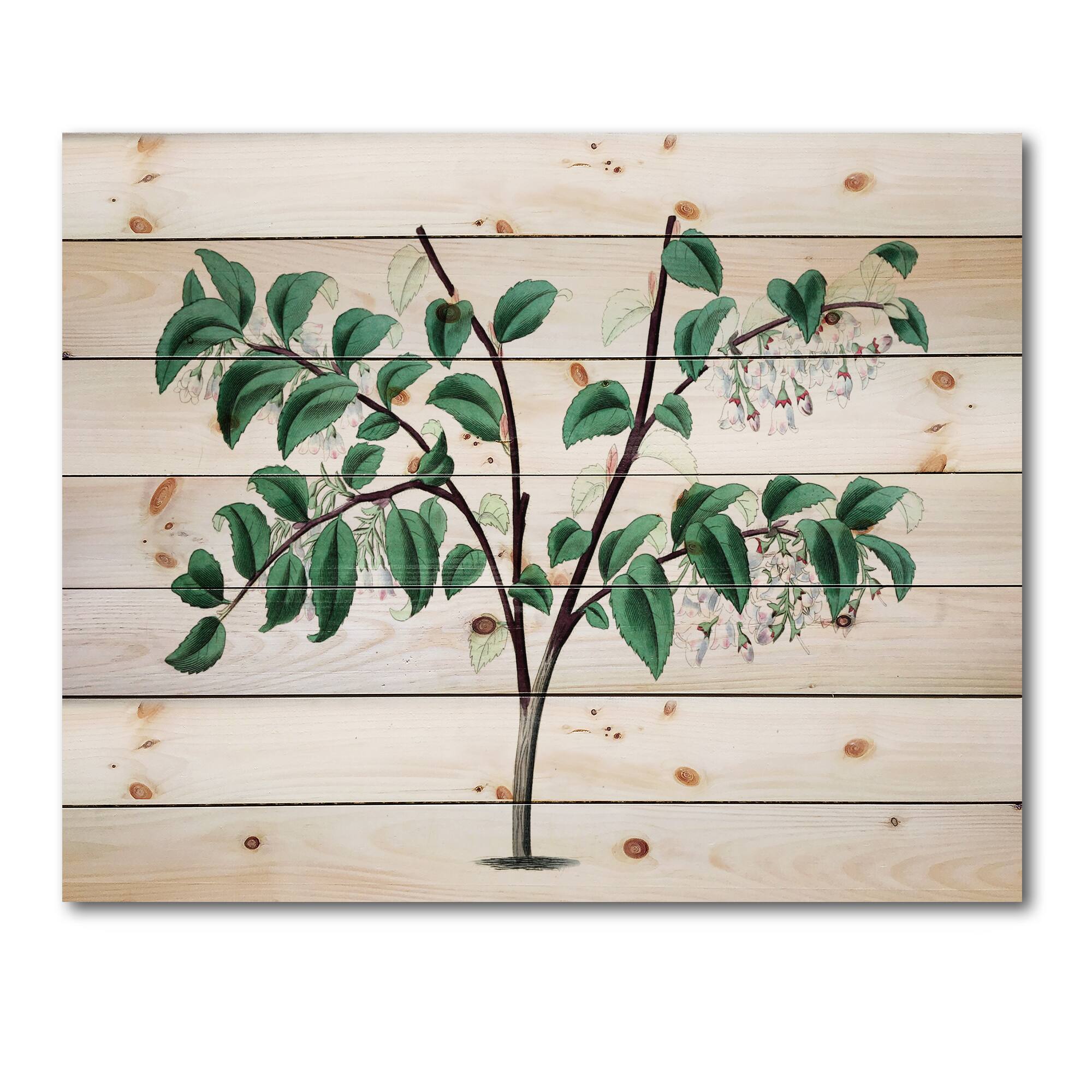 Designart - Vintage Green Leaves Plants I - Traditional Print on Natural Pine Wood