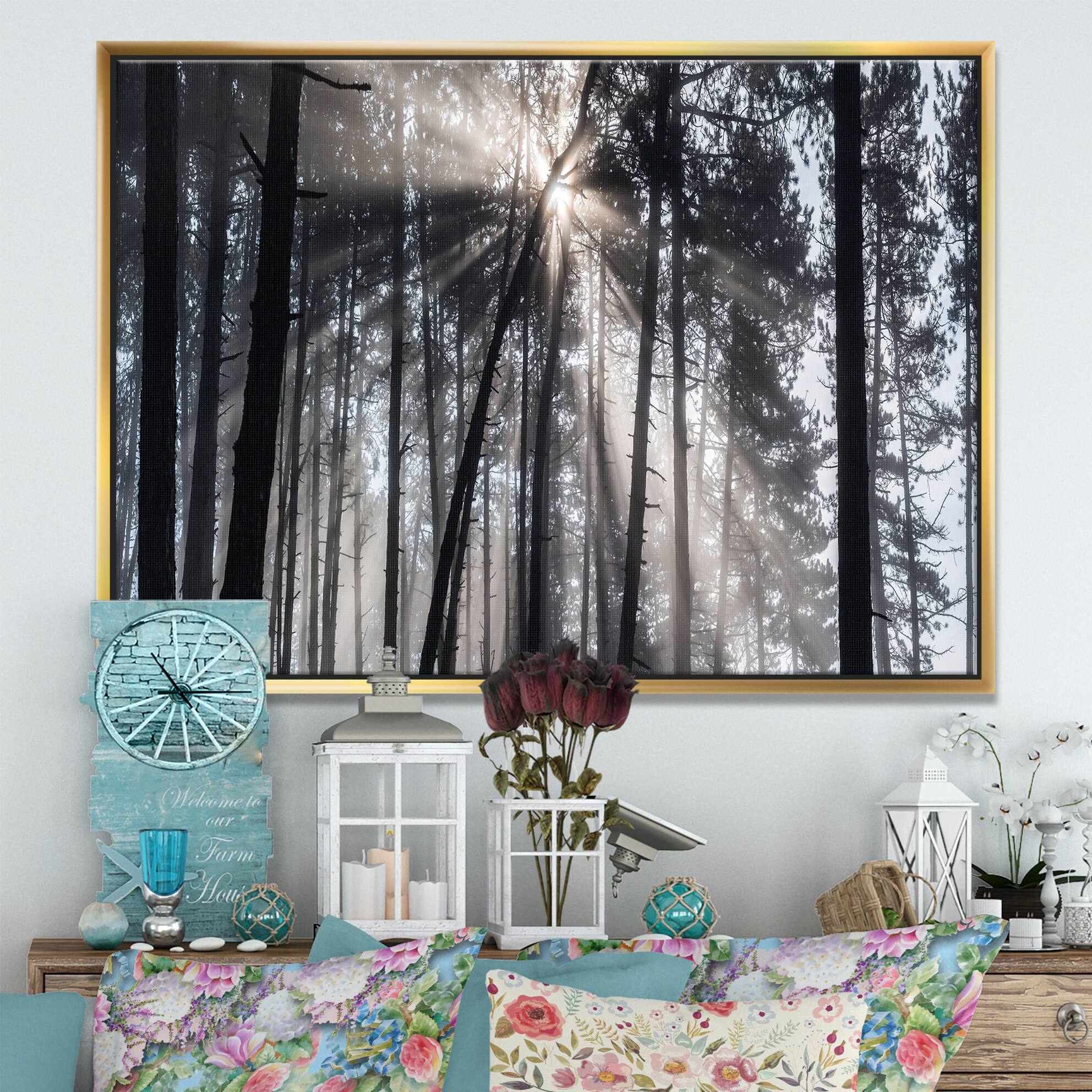 Designart - Sunbeams through Black White Forest - Forest Framed Canvas Wall Art Print