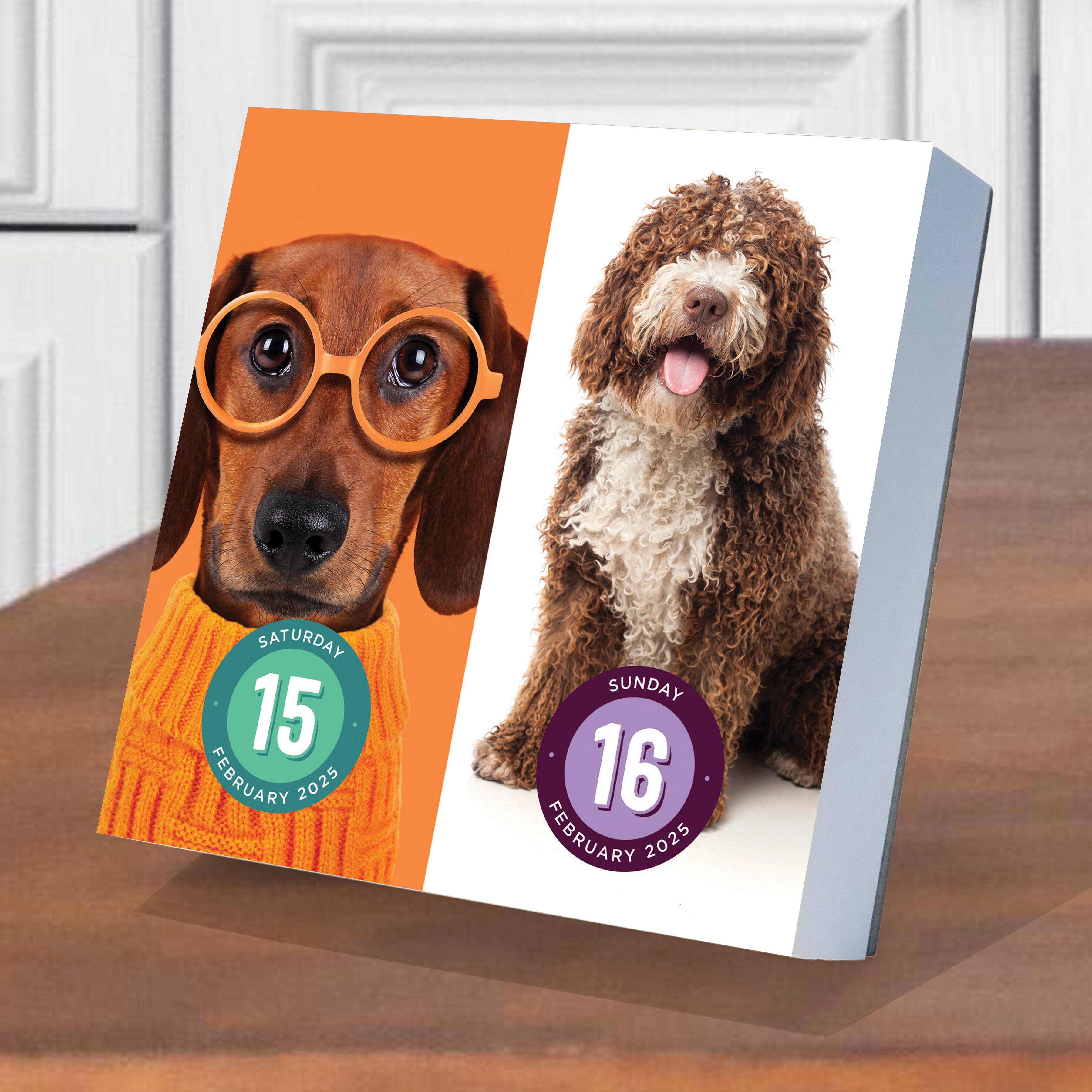 TF Publishing 2025 Dog A Day Daily Desktop Calendar