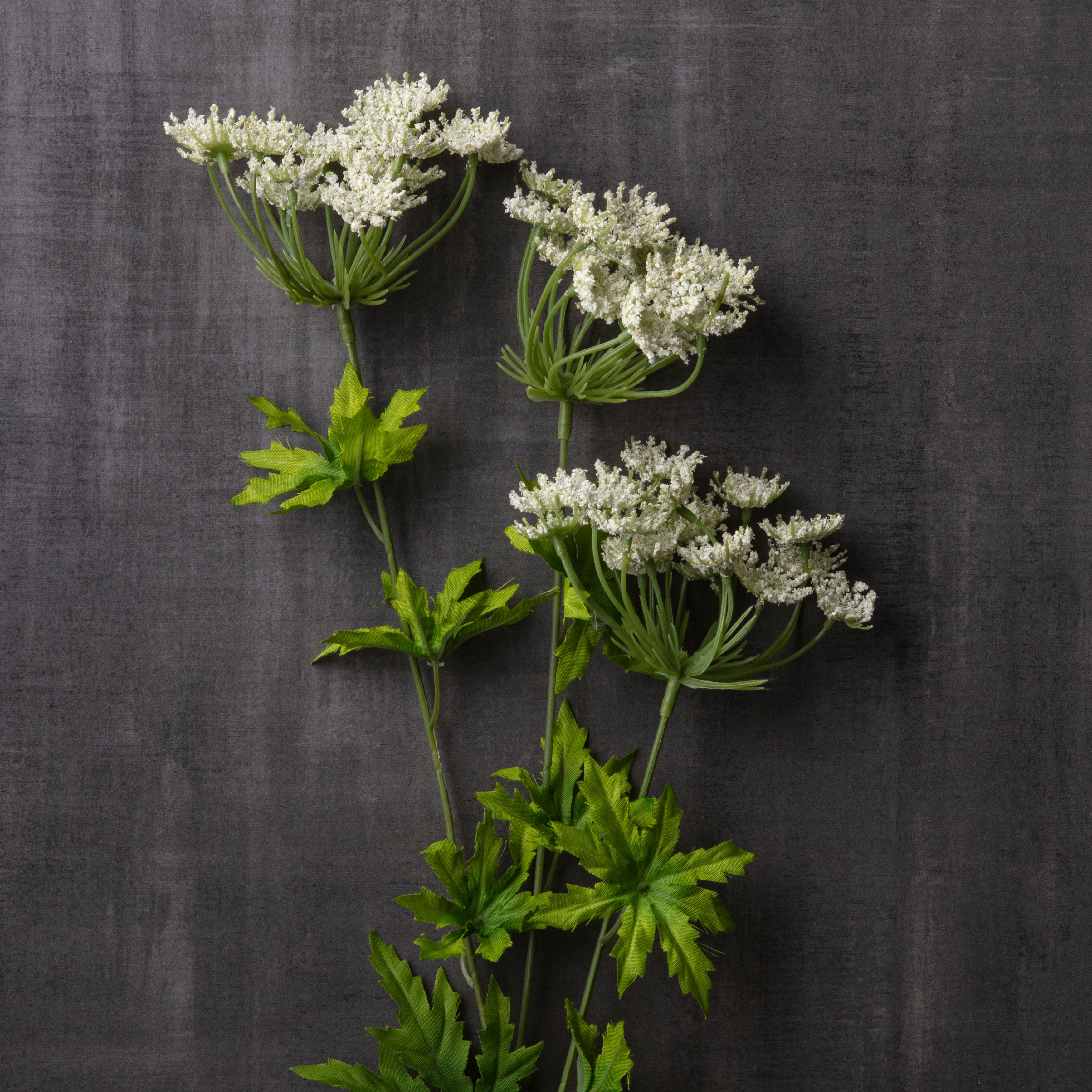 White Queen Anne&#x27;s Lace Spray by Ashland&#xAE;