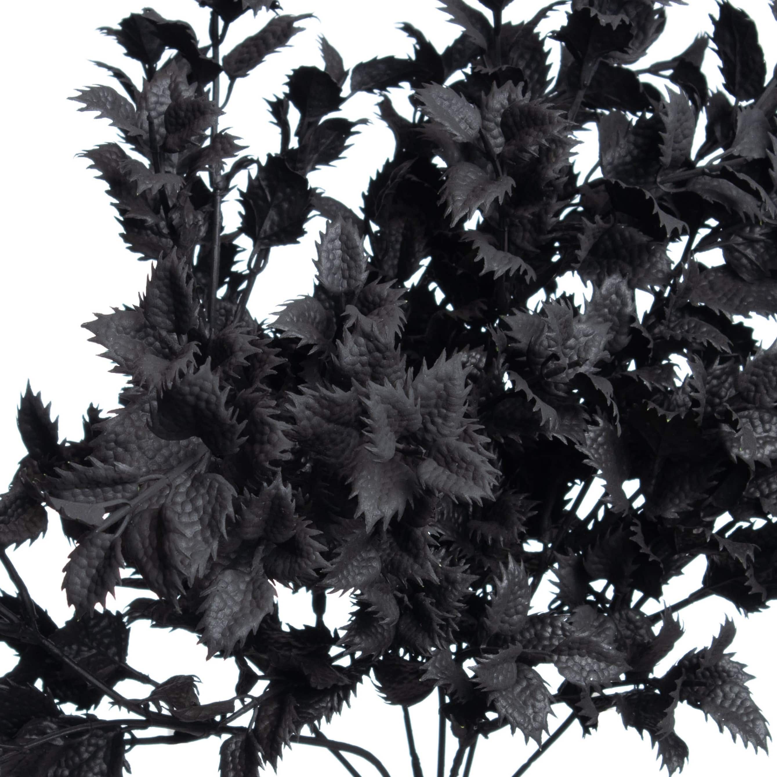 18&#x22; Black Lemon Leaf Bush by Ashland&#xAE;