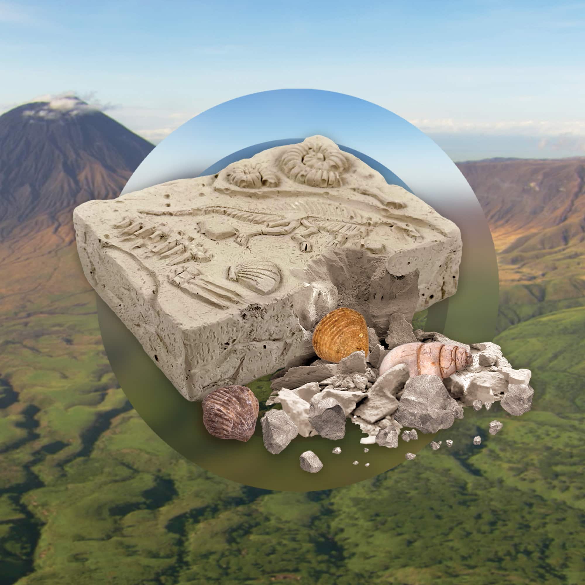 BBC Earth Excavate & Discover Fossil Dig