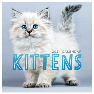 TF Publishing 2024 Kittens Mini Calendar | Michaels