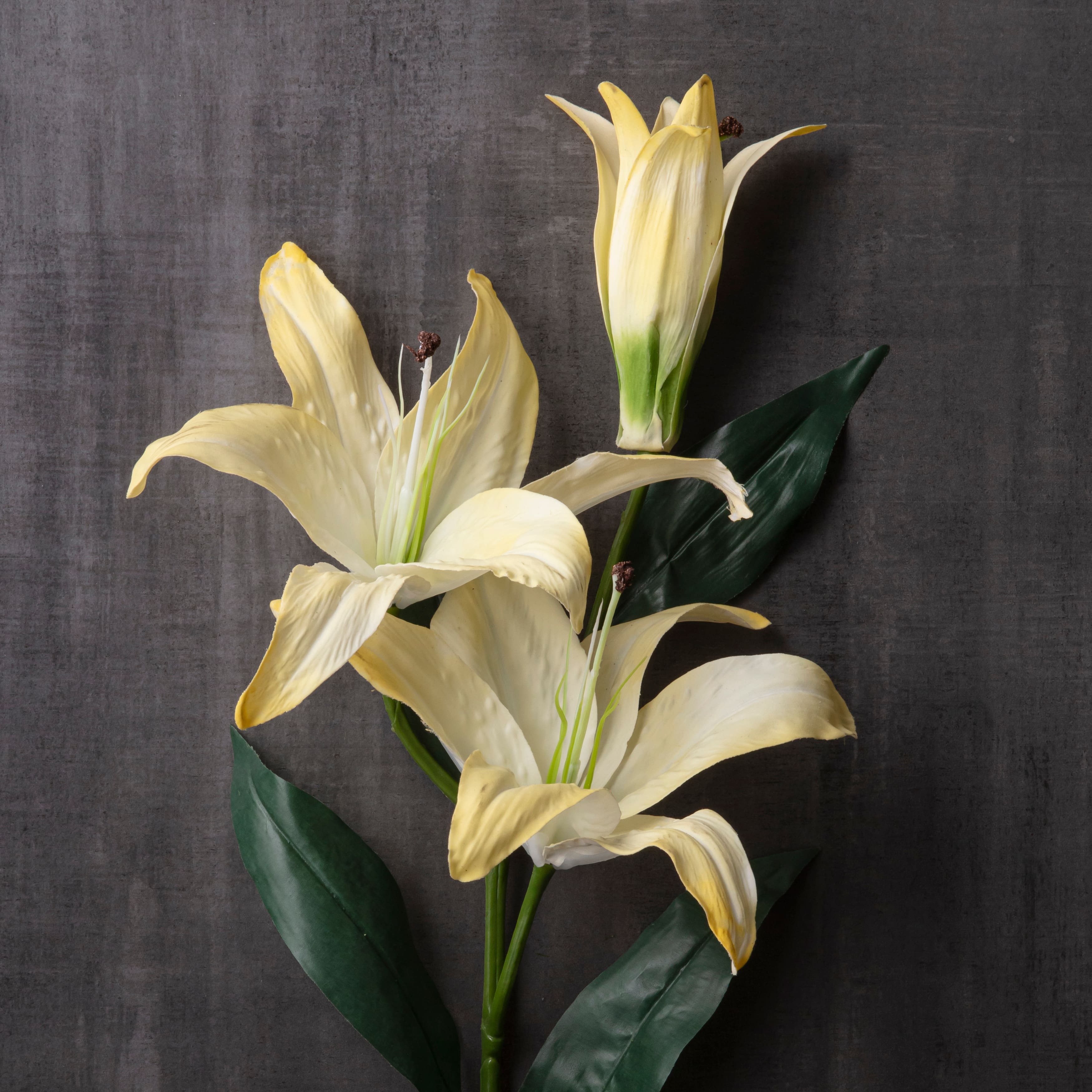 12 Pack: White Casablanca Lily Stem by Ashland&#xAE;