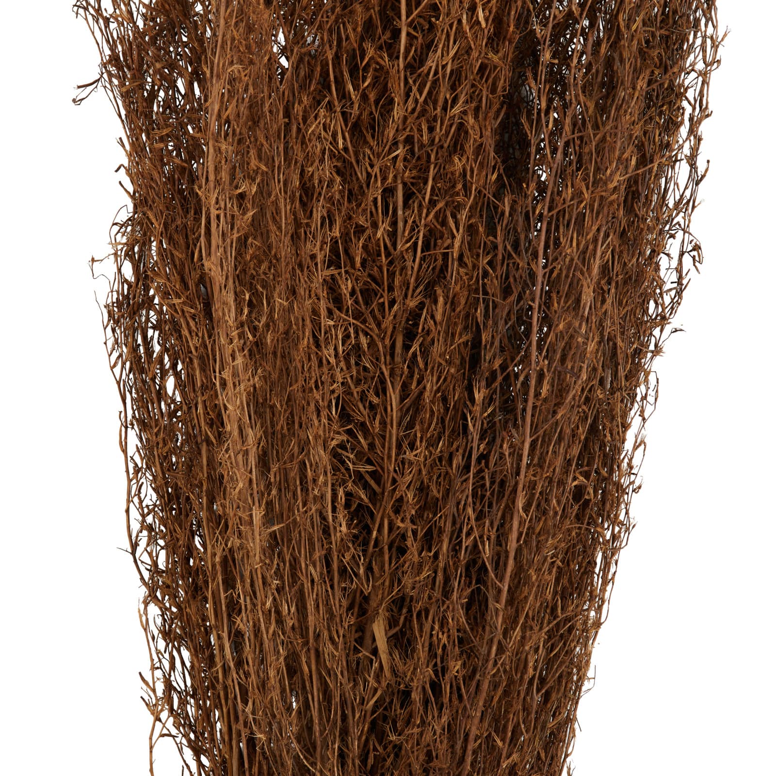 45" Brown Dried Natural Pampas Grass Foliage