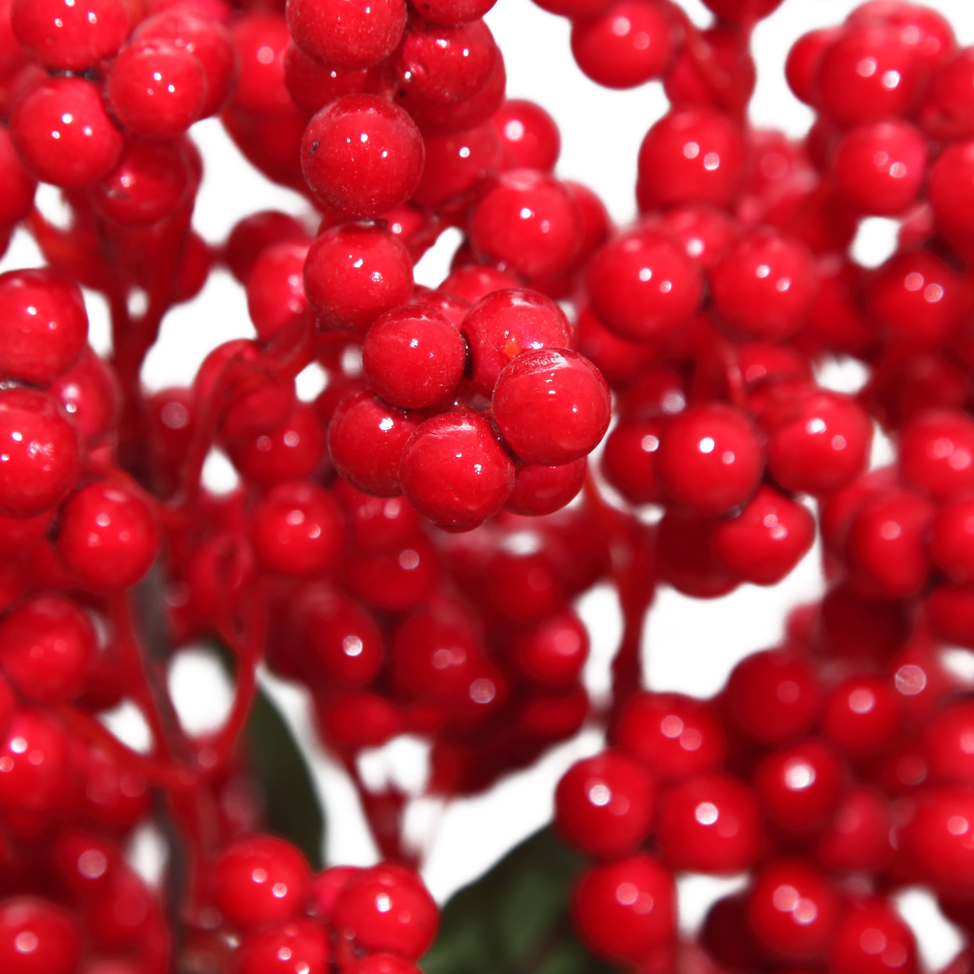 22.5&#x22; Red Berry Cluster Deluxe Bush by Ashland&#xAE;