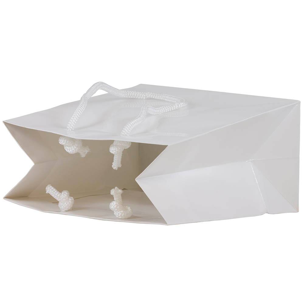 JAM Paper Small Glossy White Gift Bags, 3ct.