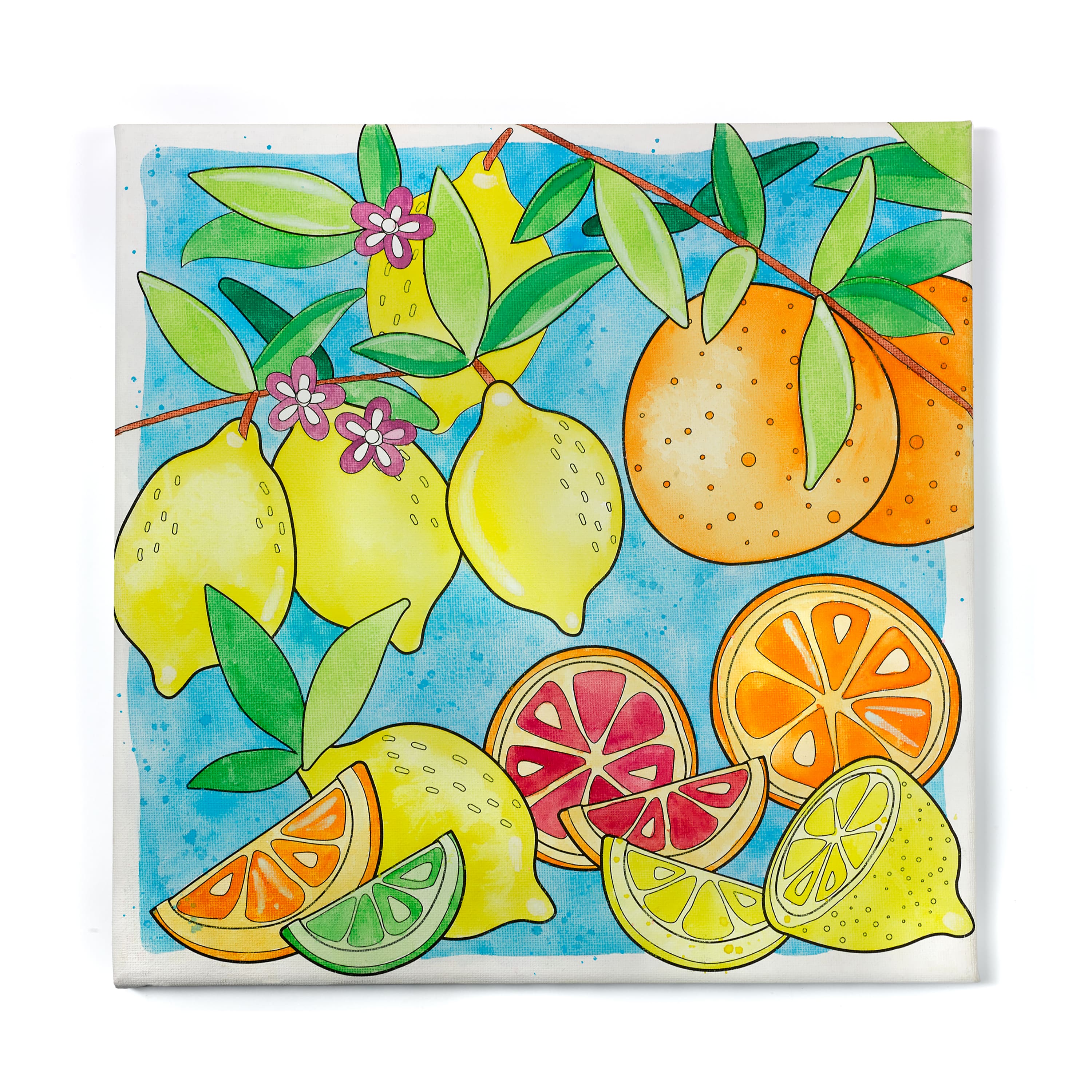 Faber-Castell Produce Paint by Number Watercolor Set