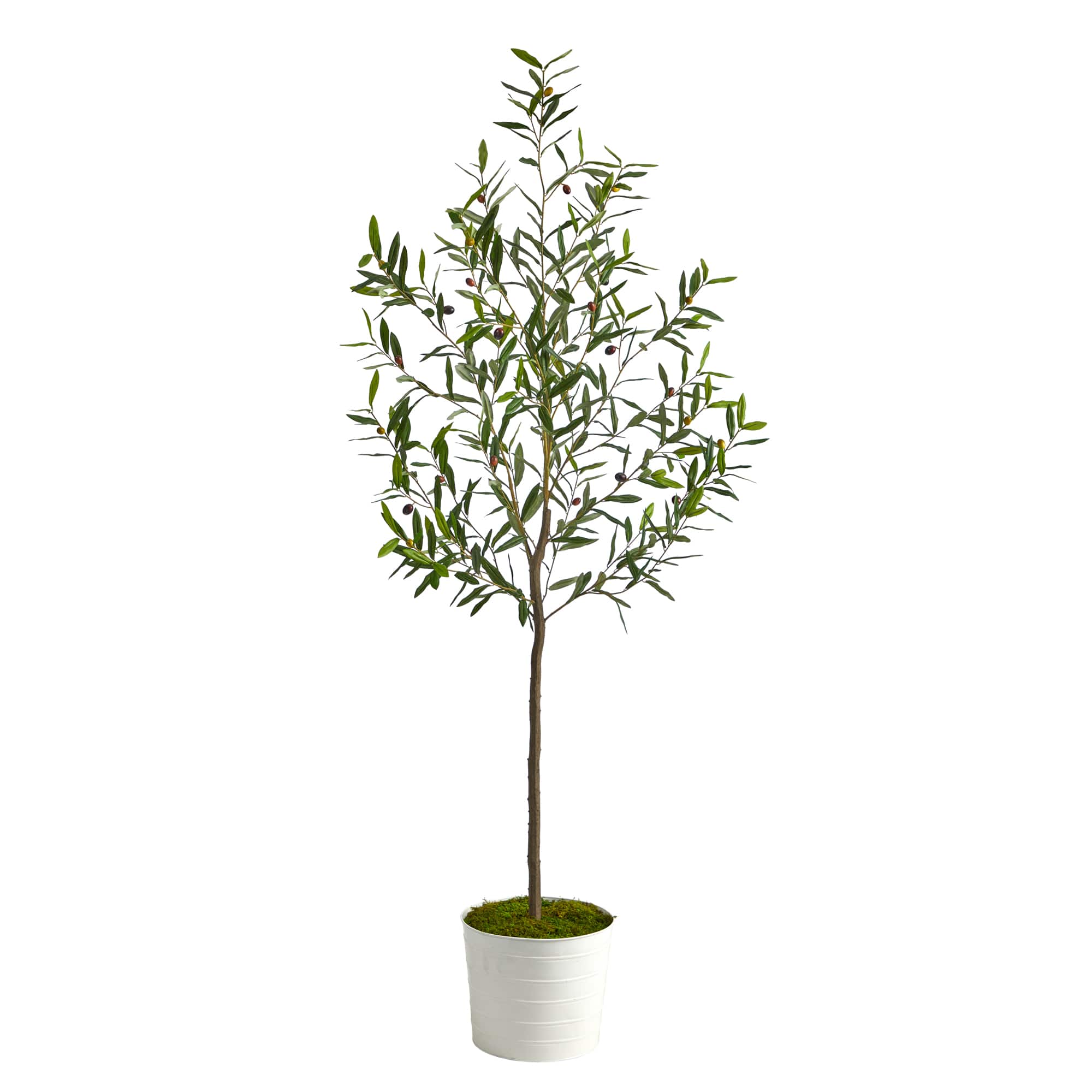 6ft. Olive Artificial Tree in White Tin Planter