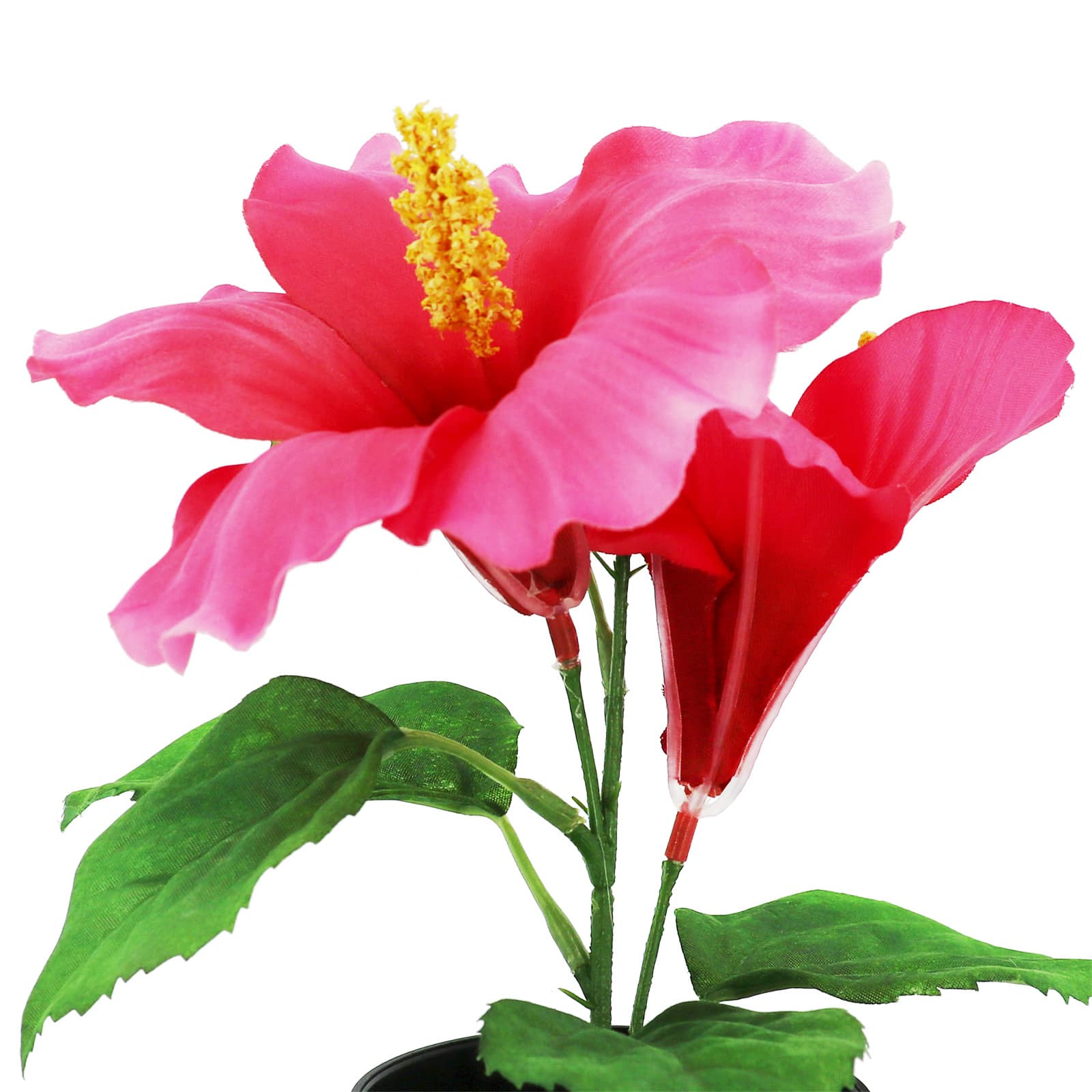 8.5&#x22; Potted Hibiscus Plant by Ashland&#xAE;
