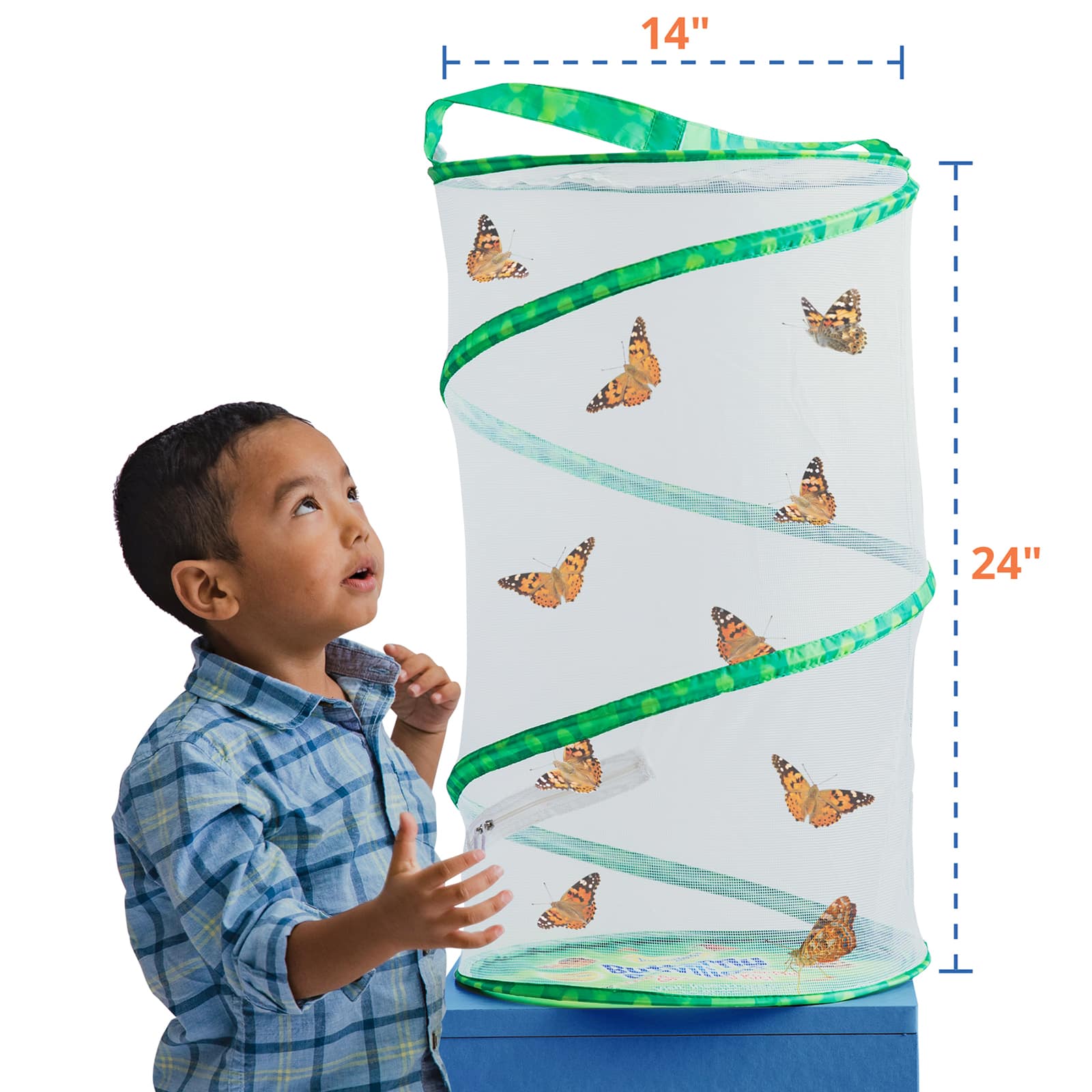 Butterfly Pavilion®