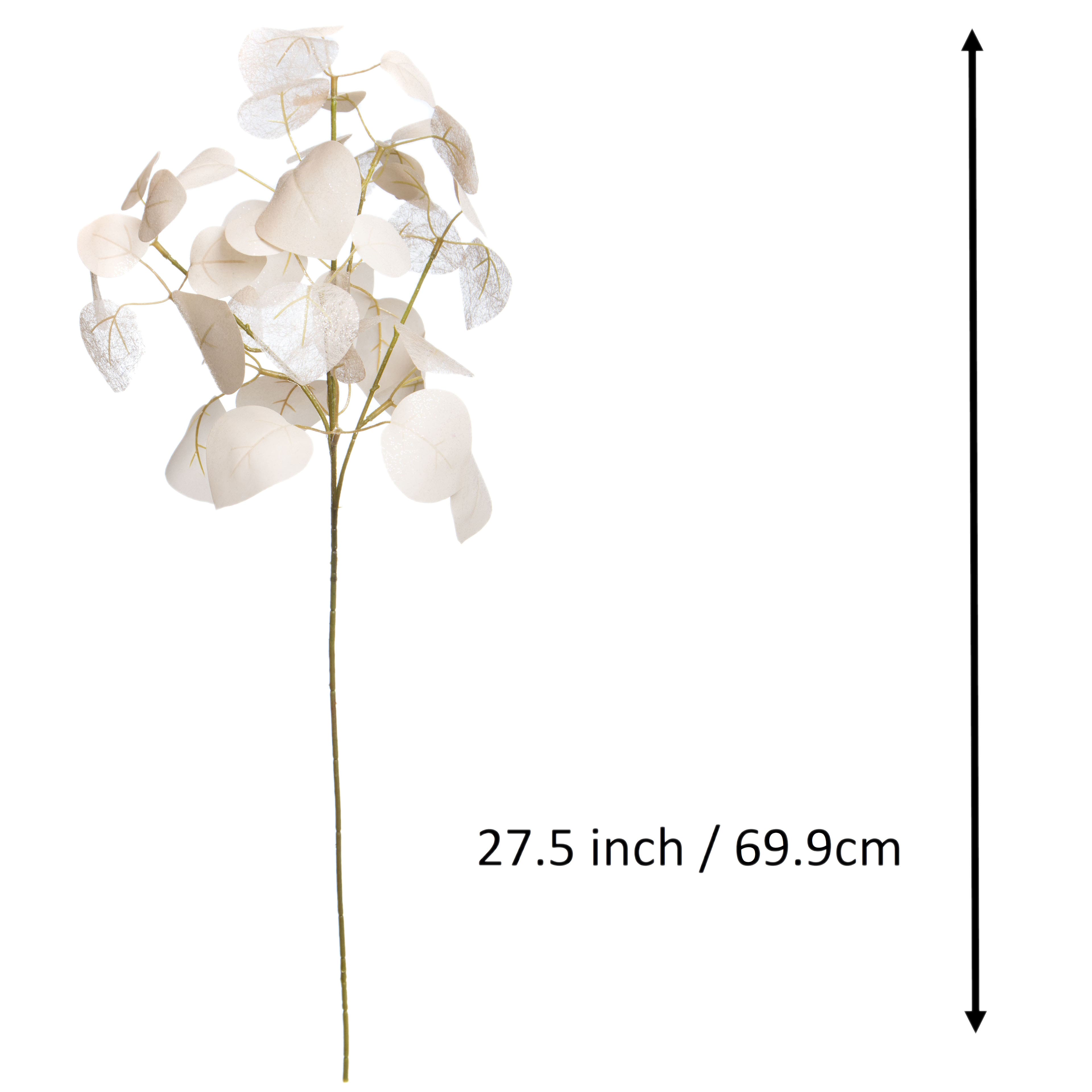 27.5&#x22; Cream Eucalyptus Stem by Ashland&#xAE;
