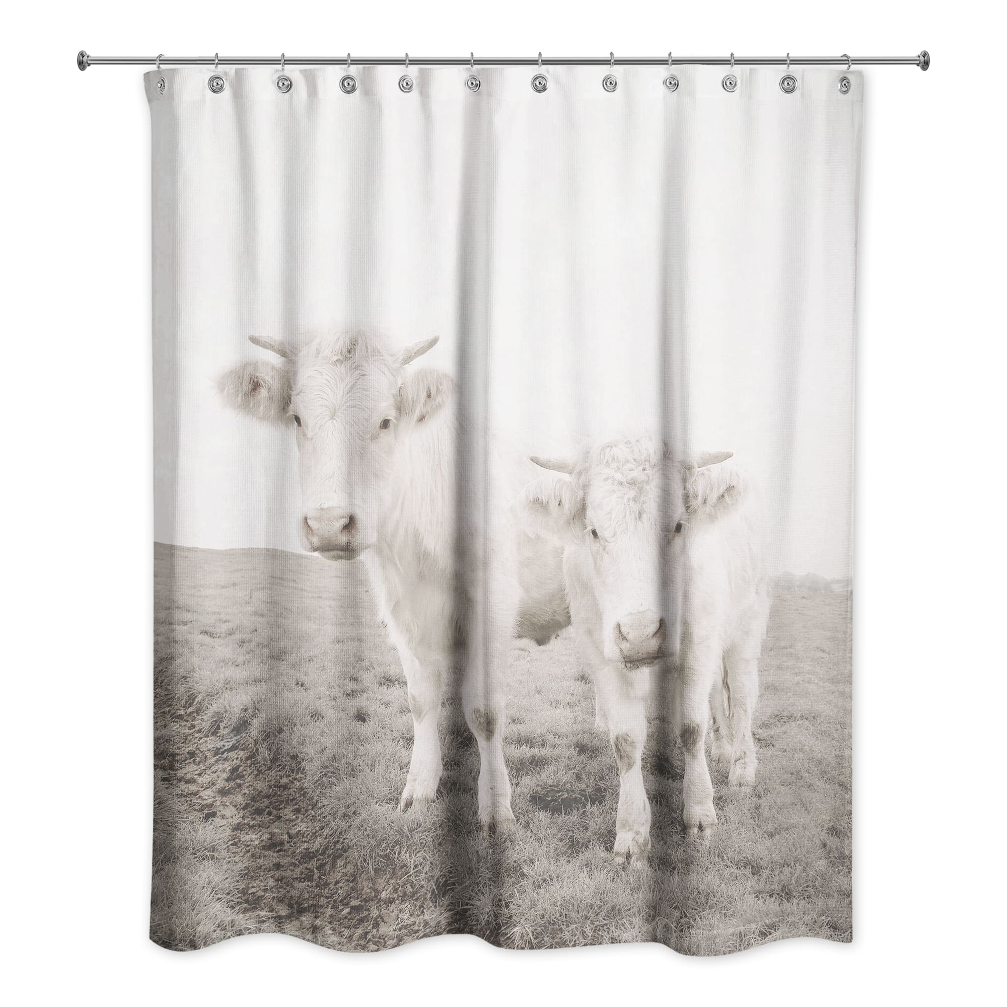 Whitewashed Cow Photograph 71&#x22; x 74&#x22; Shower Curtain