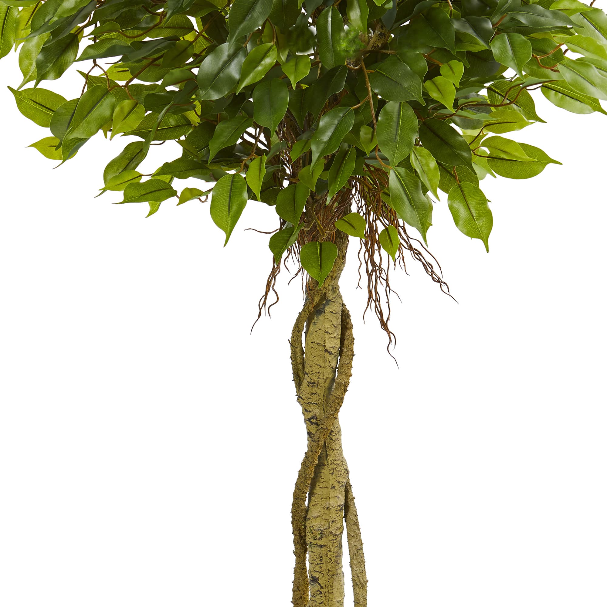 4ft. Potted Ficus Topiary Tree