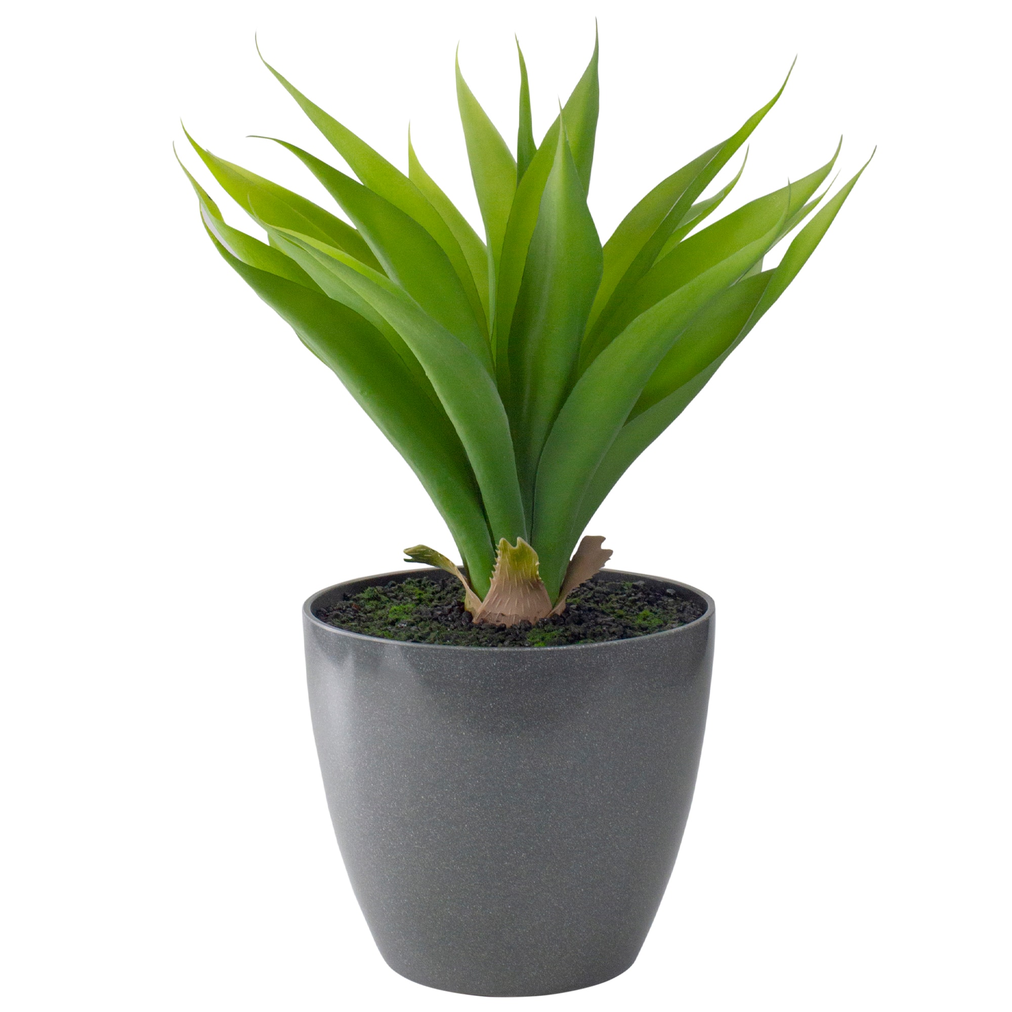22" Potted Green Agave Plant