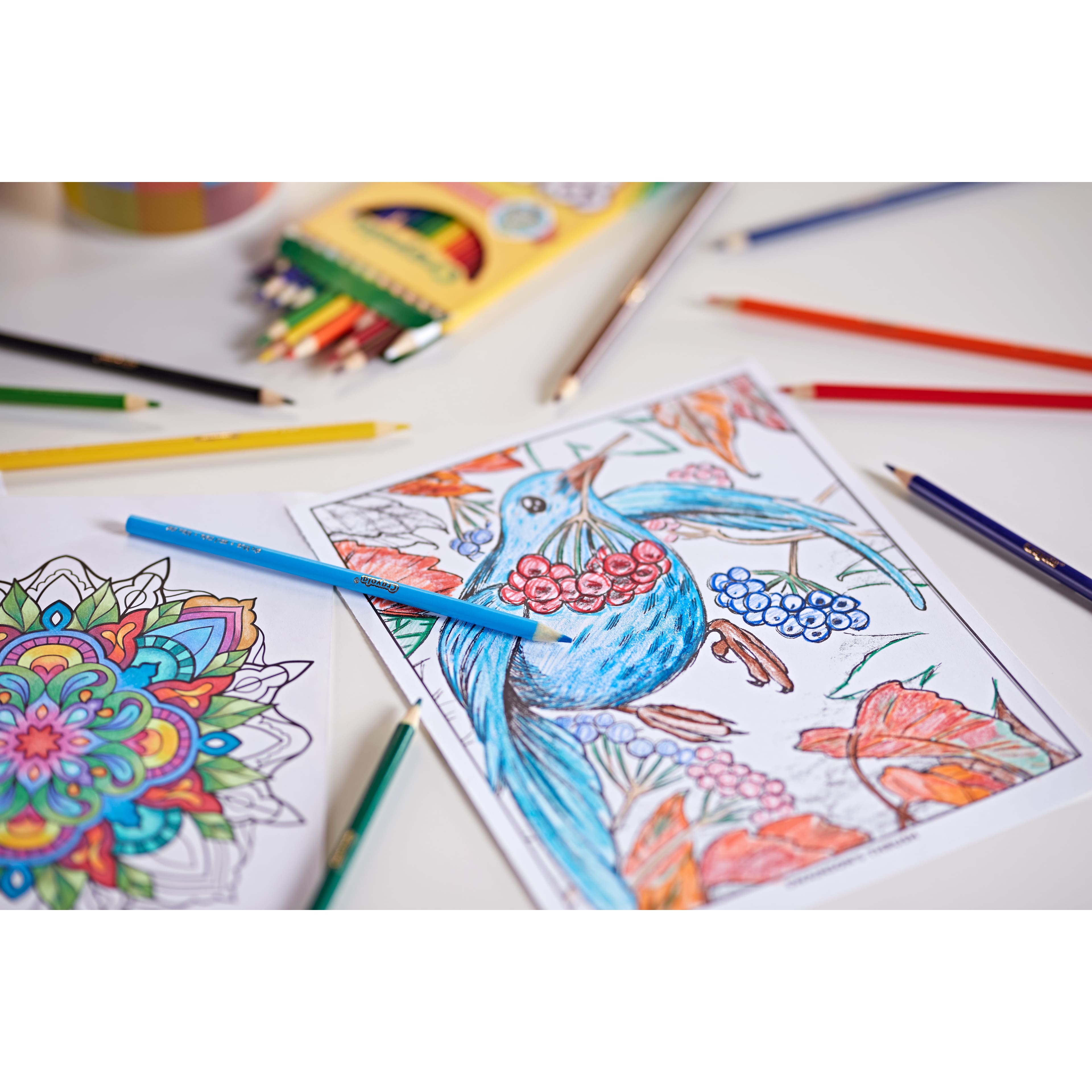 12 Packs: 12 ct. (144 total) Crayola® Colored Pencils