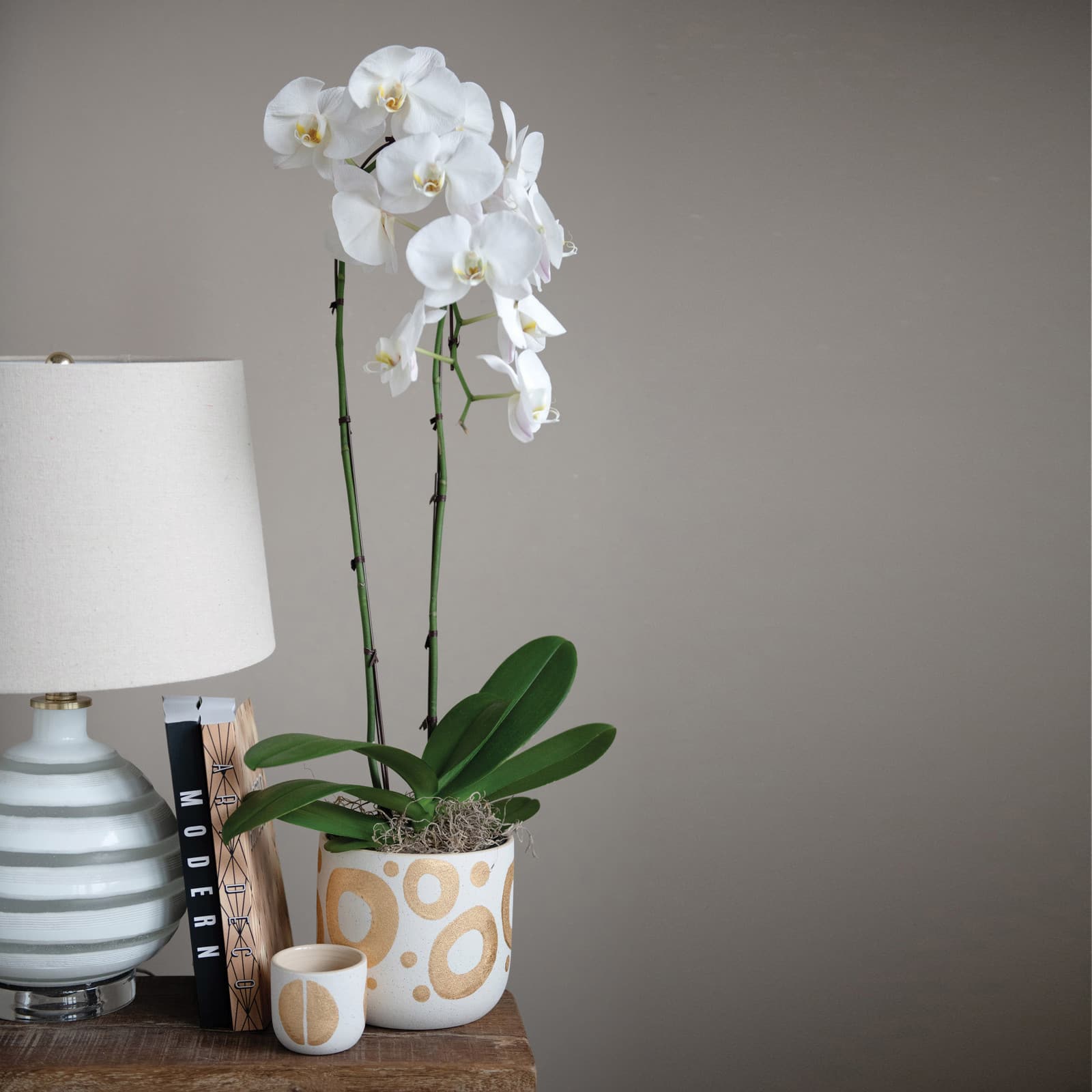 Hello Honey® 6.5" White & Gold Hand-Painted Stoneware Planter