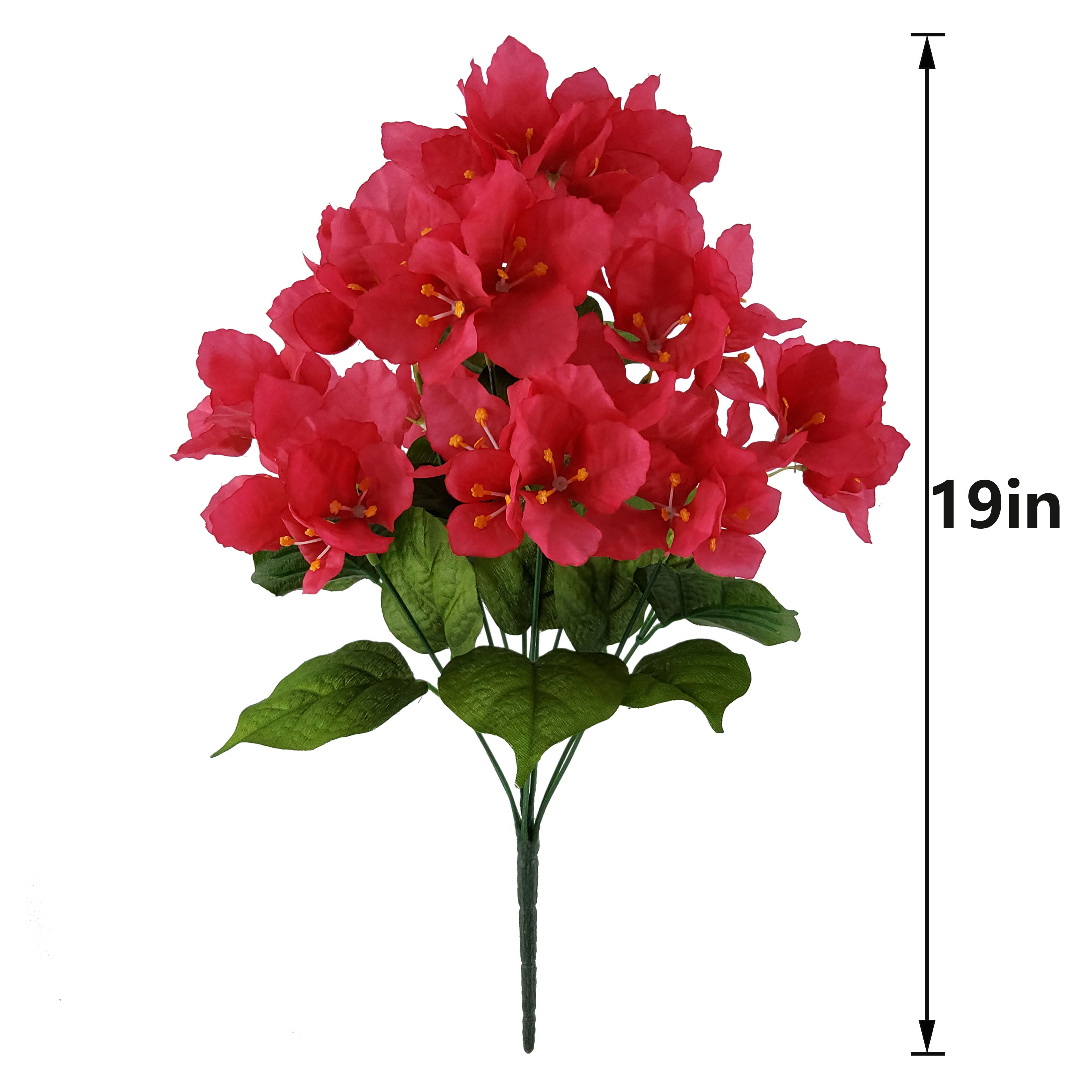 19&#x22; Pink Bougainvillea Bush by Ashland&#xAE;