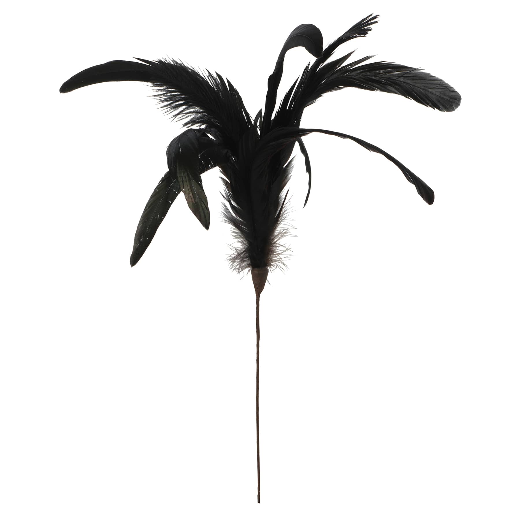 Halloween Feather Pick by Ashland&#xAE;