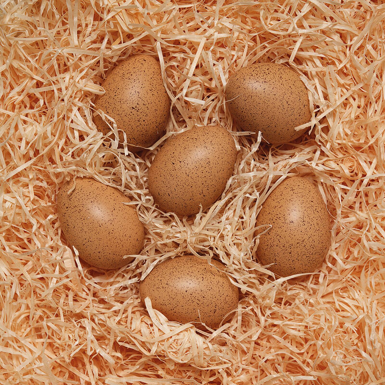 Yellow Door Sensory Sound Eggs