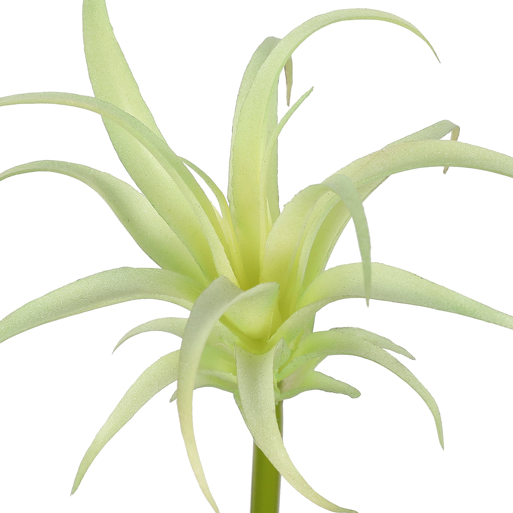 Assorted 7&#x22; Tillandsia Pick by Ashland&#xAE;