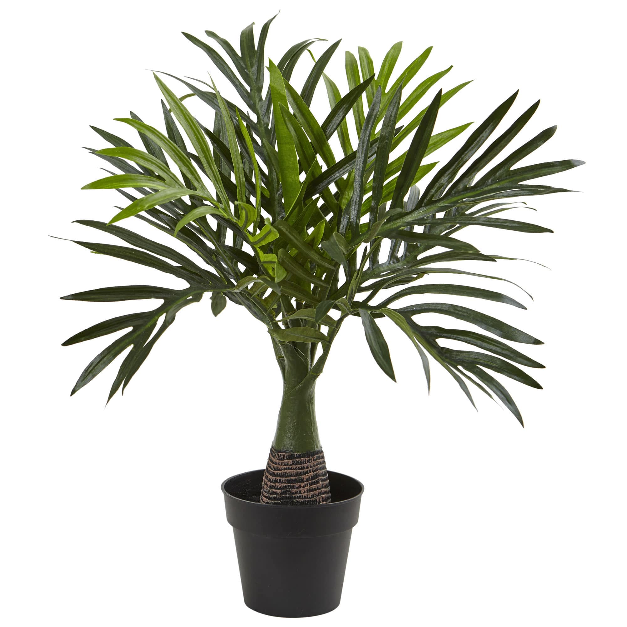 15.5" Potted Mini Areca Palm Plant