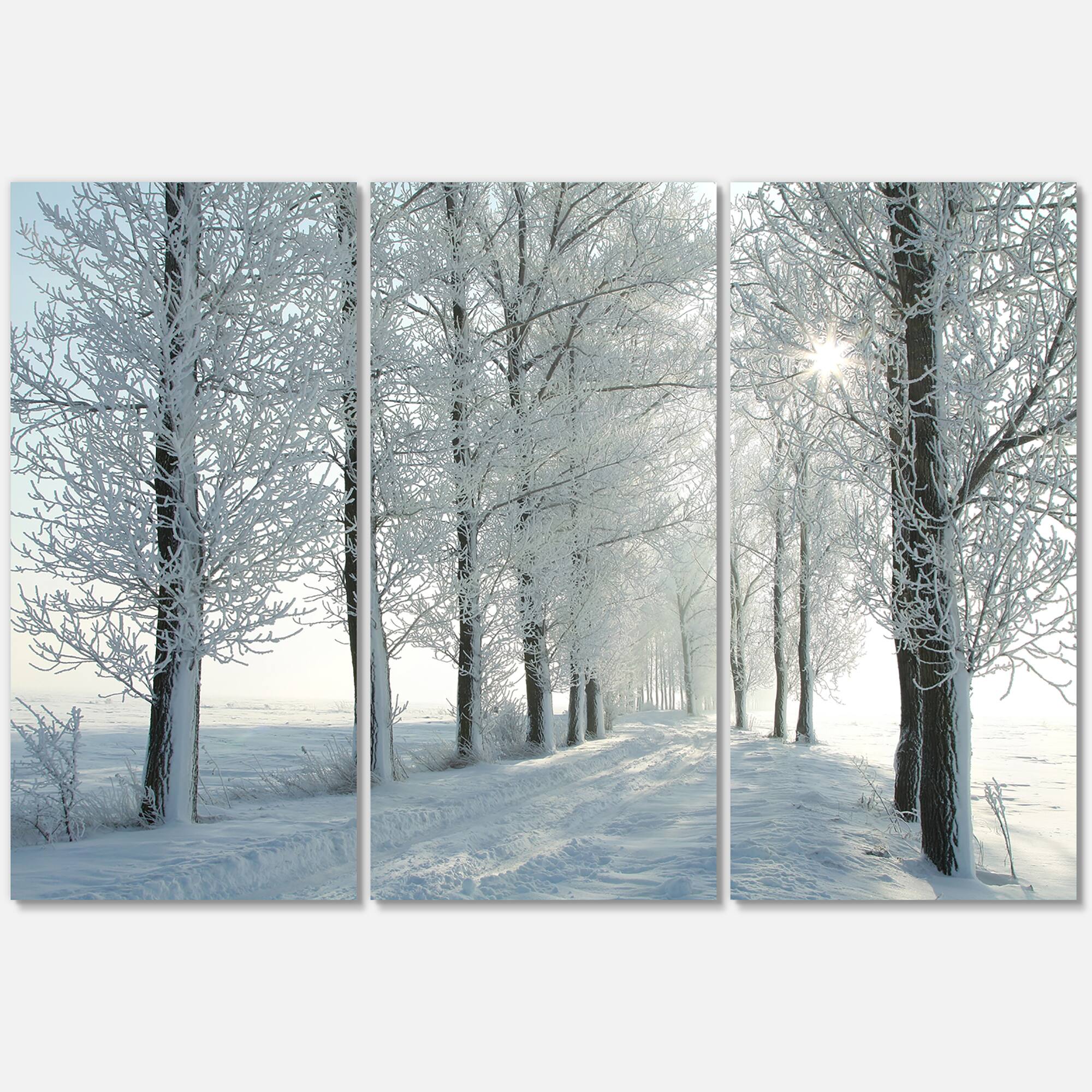 Designart - Winter Trees Backlit by Morning Sun - Large Forest Canvas Art Print