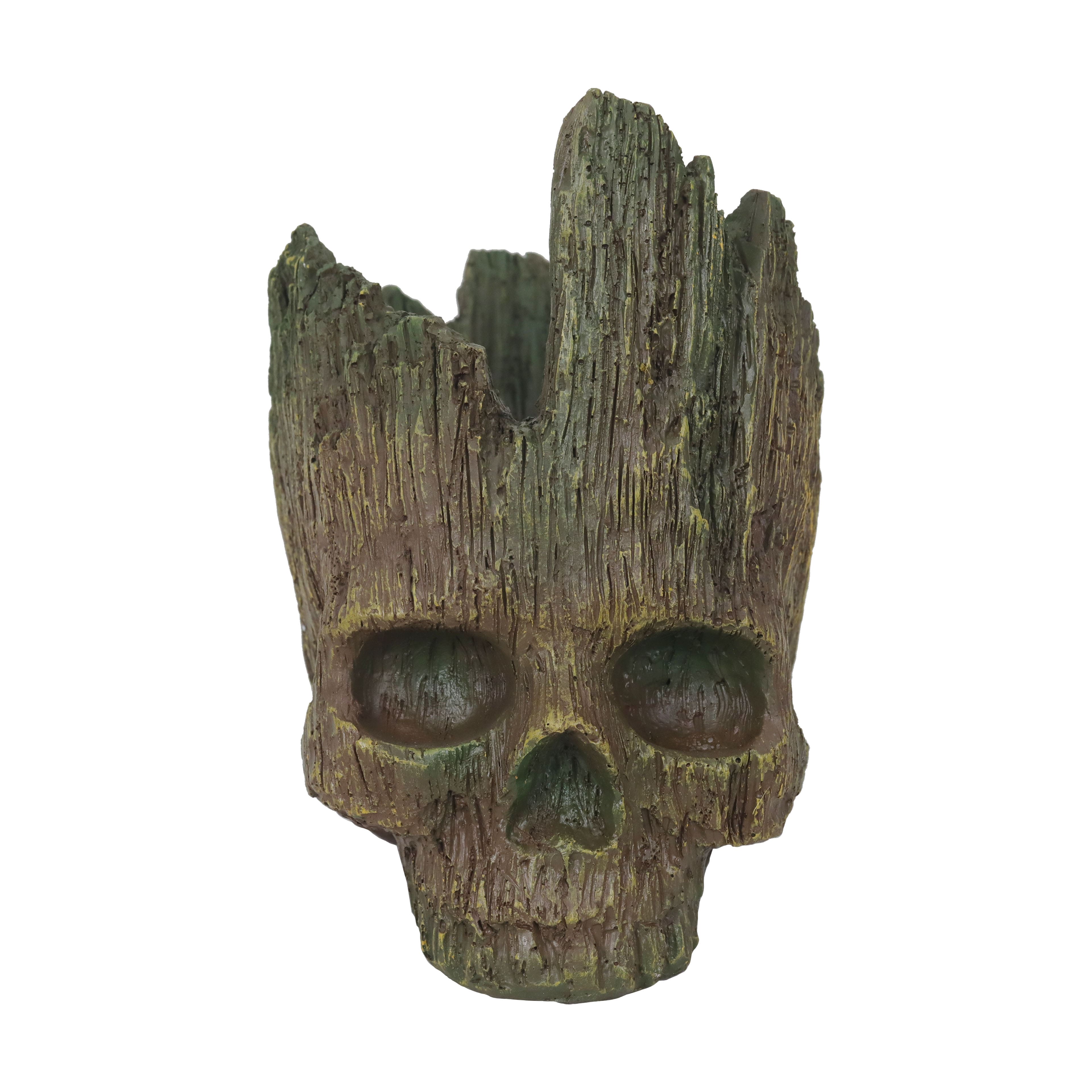 8.75&#x22; Skull Planter by Ashland&#xAE;