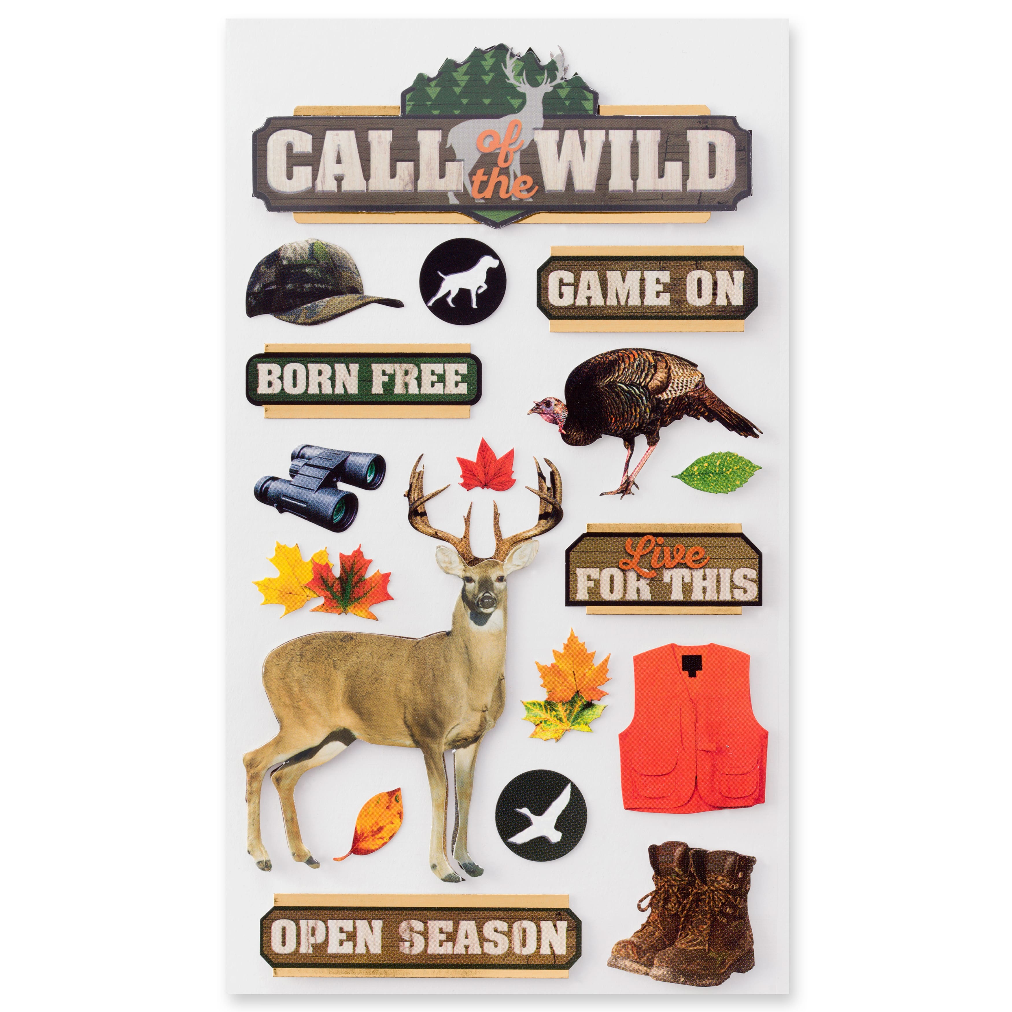 12 Pack: Call of the Wild Stickers by Recollections&#x2122;