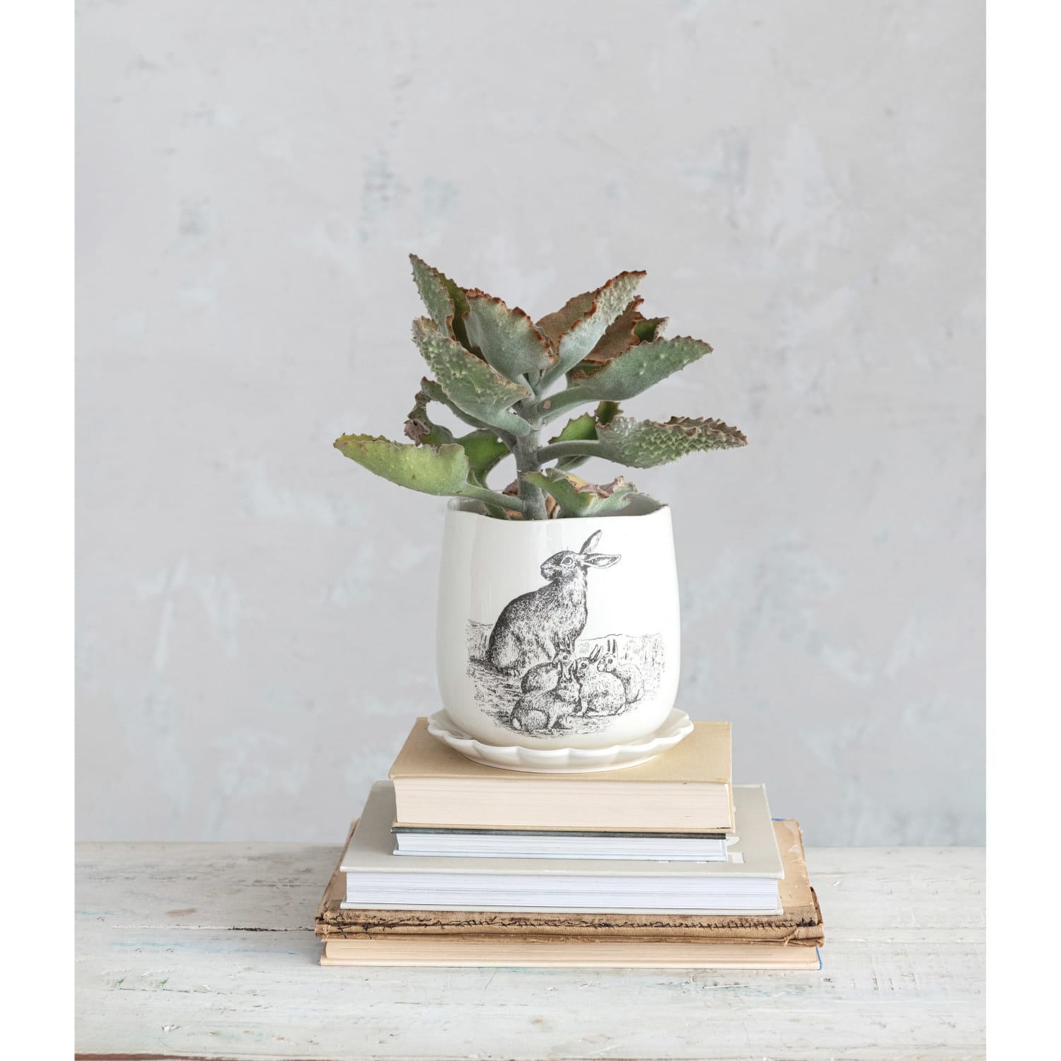 Hello Honey&#xAE; 6.5&#x22; Round Rabbit Stoneware Planter &#x26; Scalloped Saucer