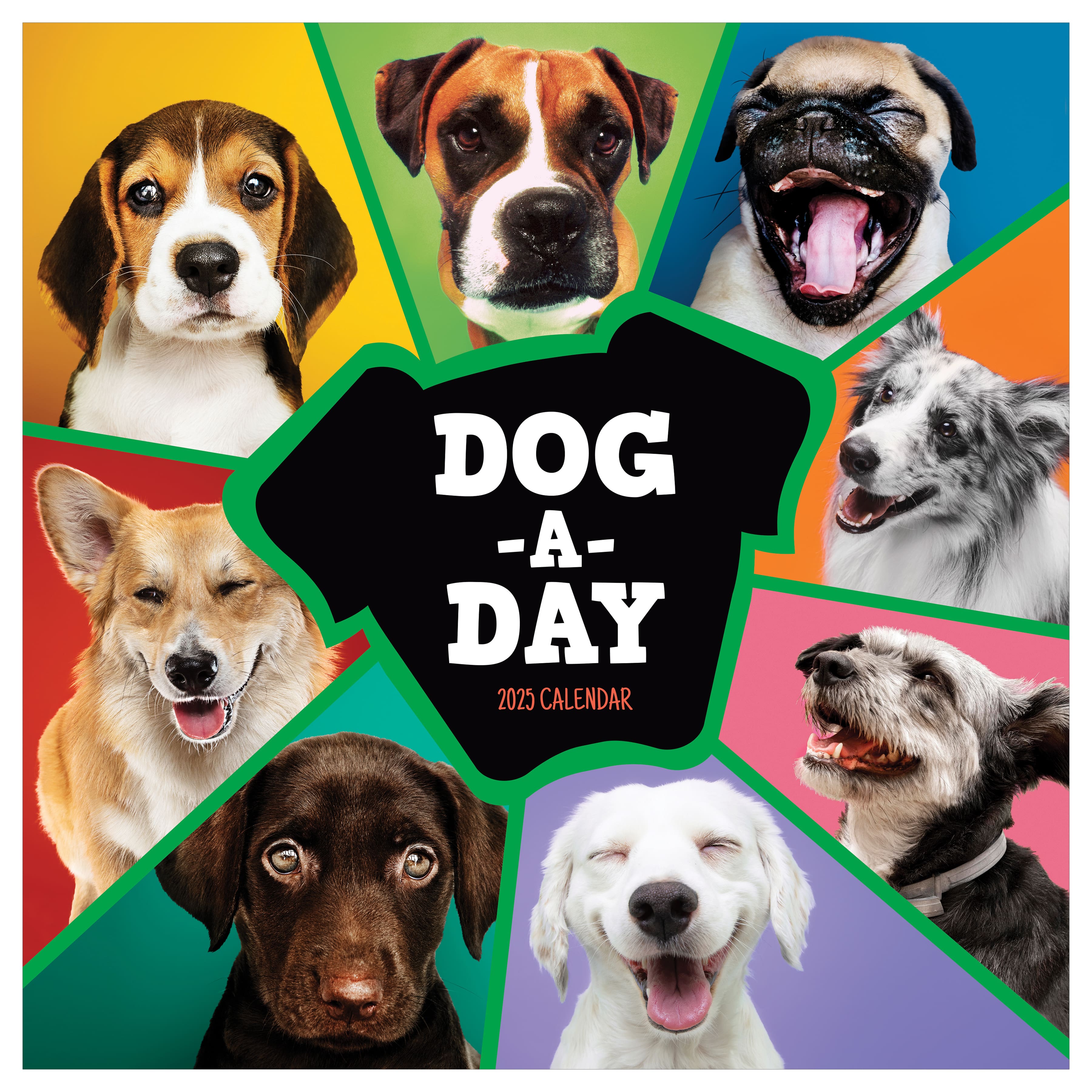 TF Publishing 2025 Dog-a-Day Wall Calendar