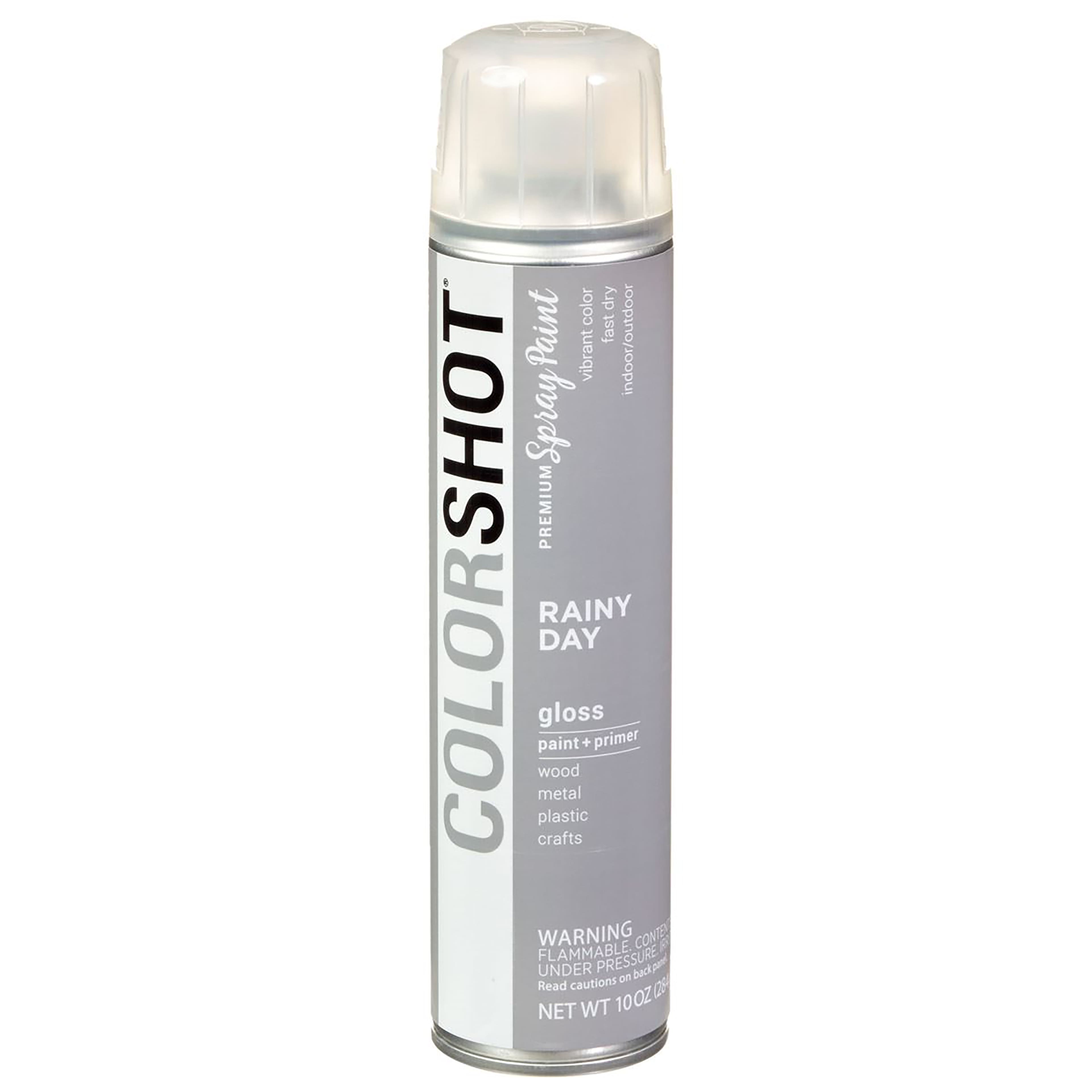 Colorshot Aerosol Spray Sealer 10oz Clear - Gloss