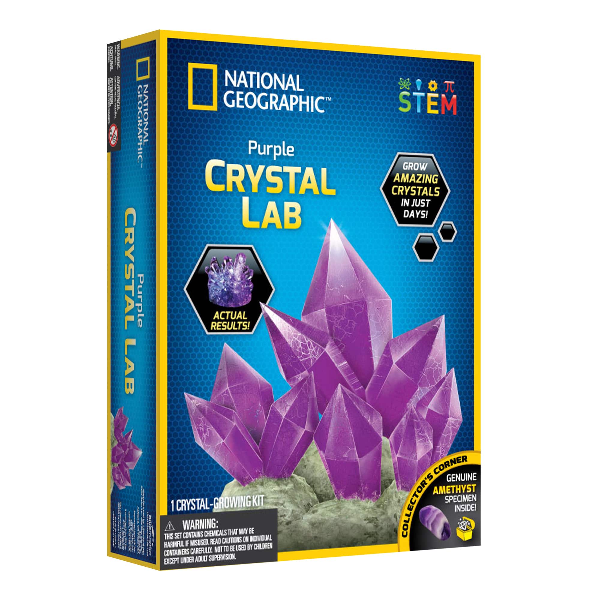 12 Pack: National Geographic™ Purple Crystal Lab