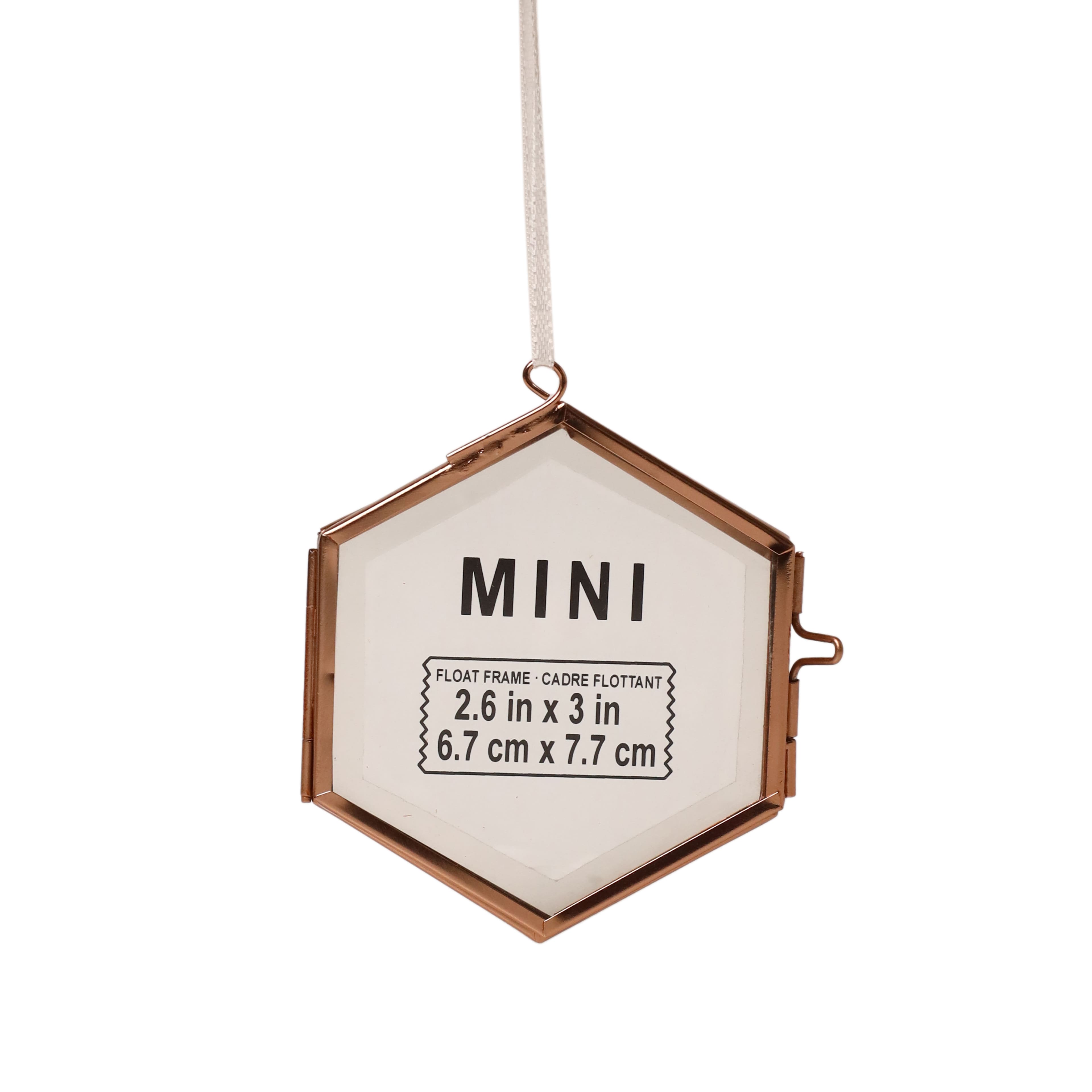 Mini Hexagon Float Frame by Studio D&#xE9;cor&#xAE;