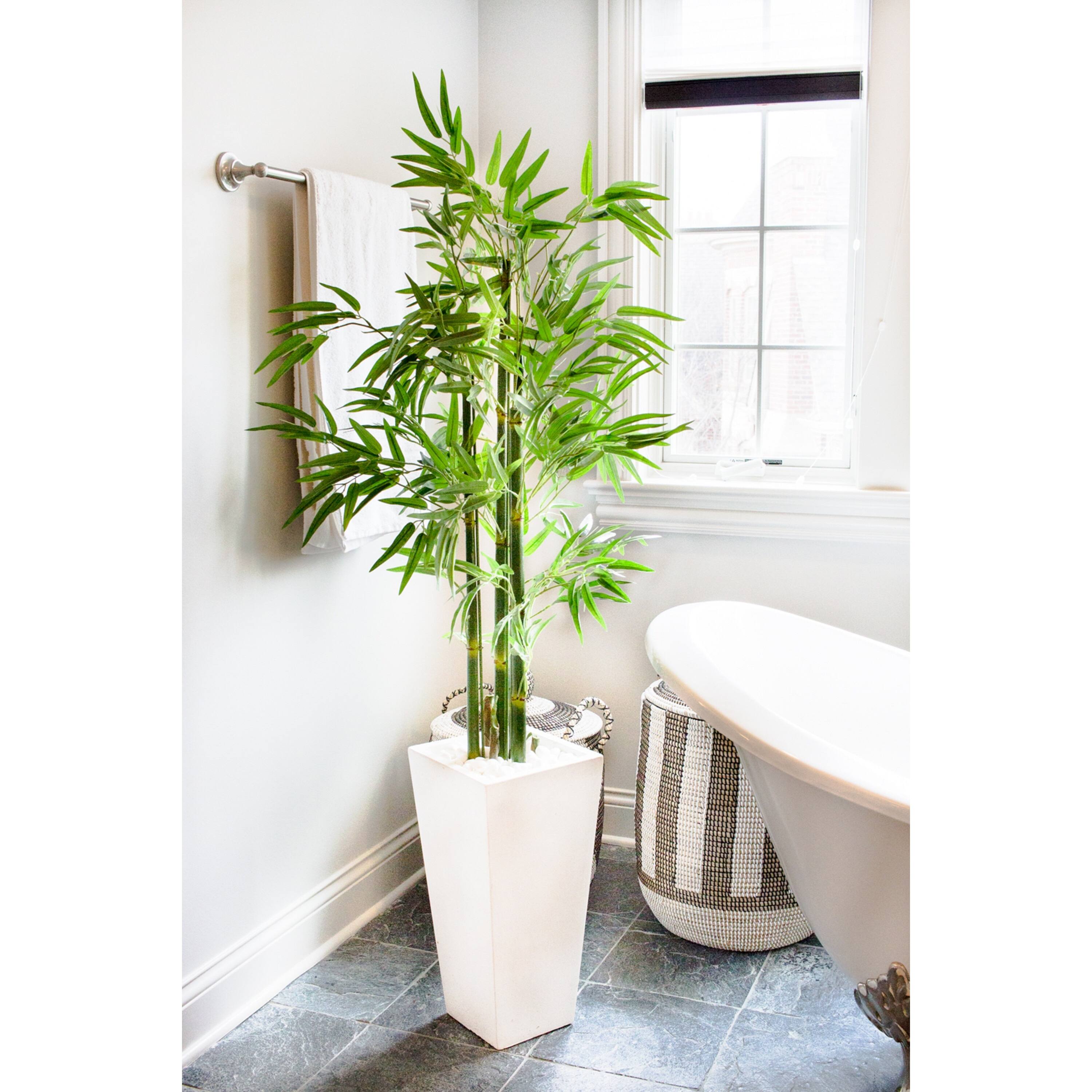 5ft. UV Resistant Bamboo Tree in White Planter