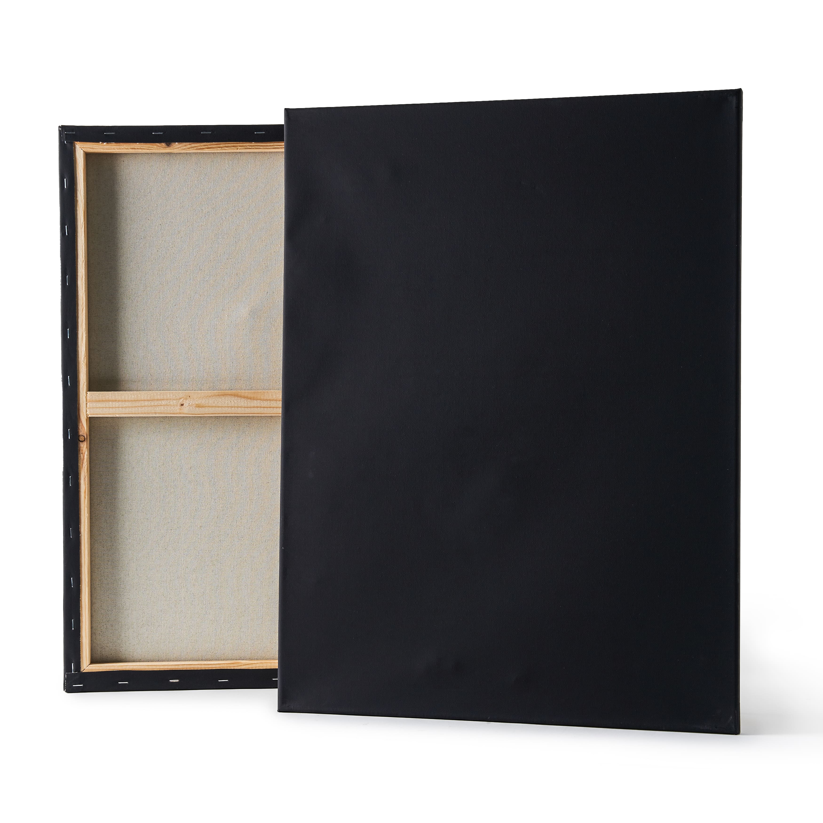 12 Packs: 2 ct. (24 total) Black Canvas Value Pack by Artist's Loft™  Necessities™